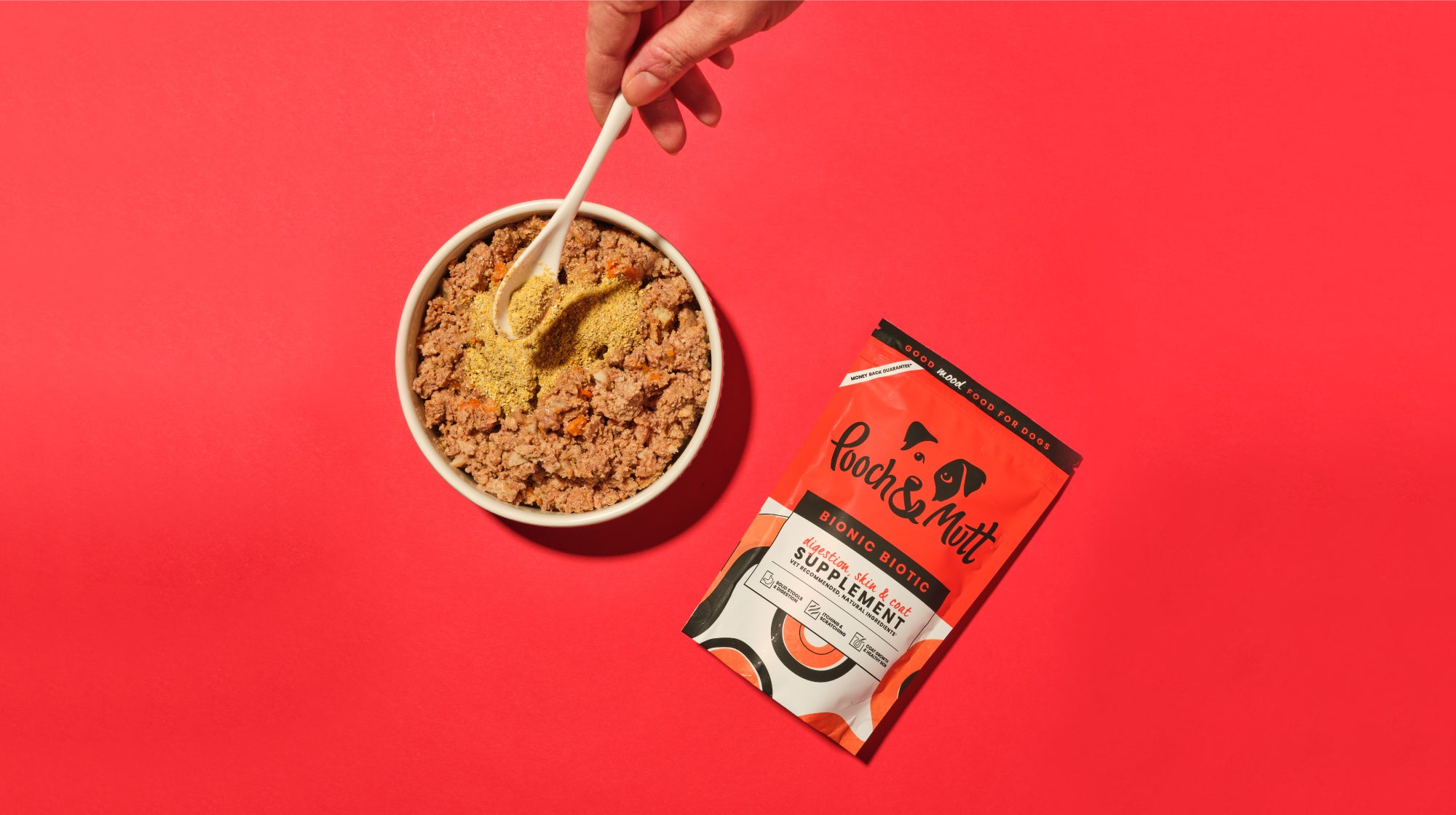 What do probiotics do for dogs?-Image 1