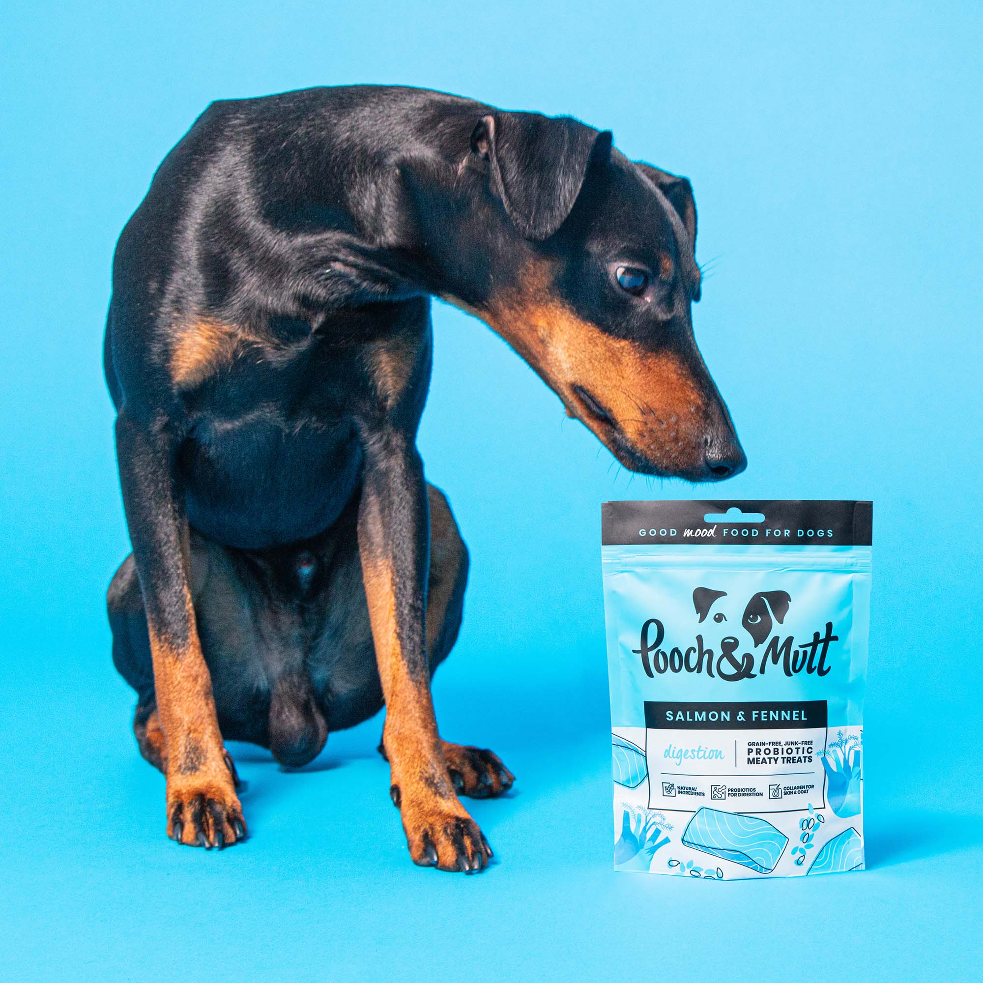 HEALTH AND DIGESTION MEATYTREATS 4