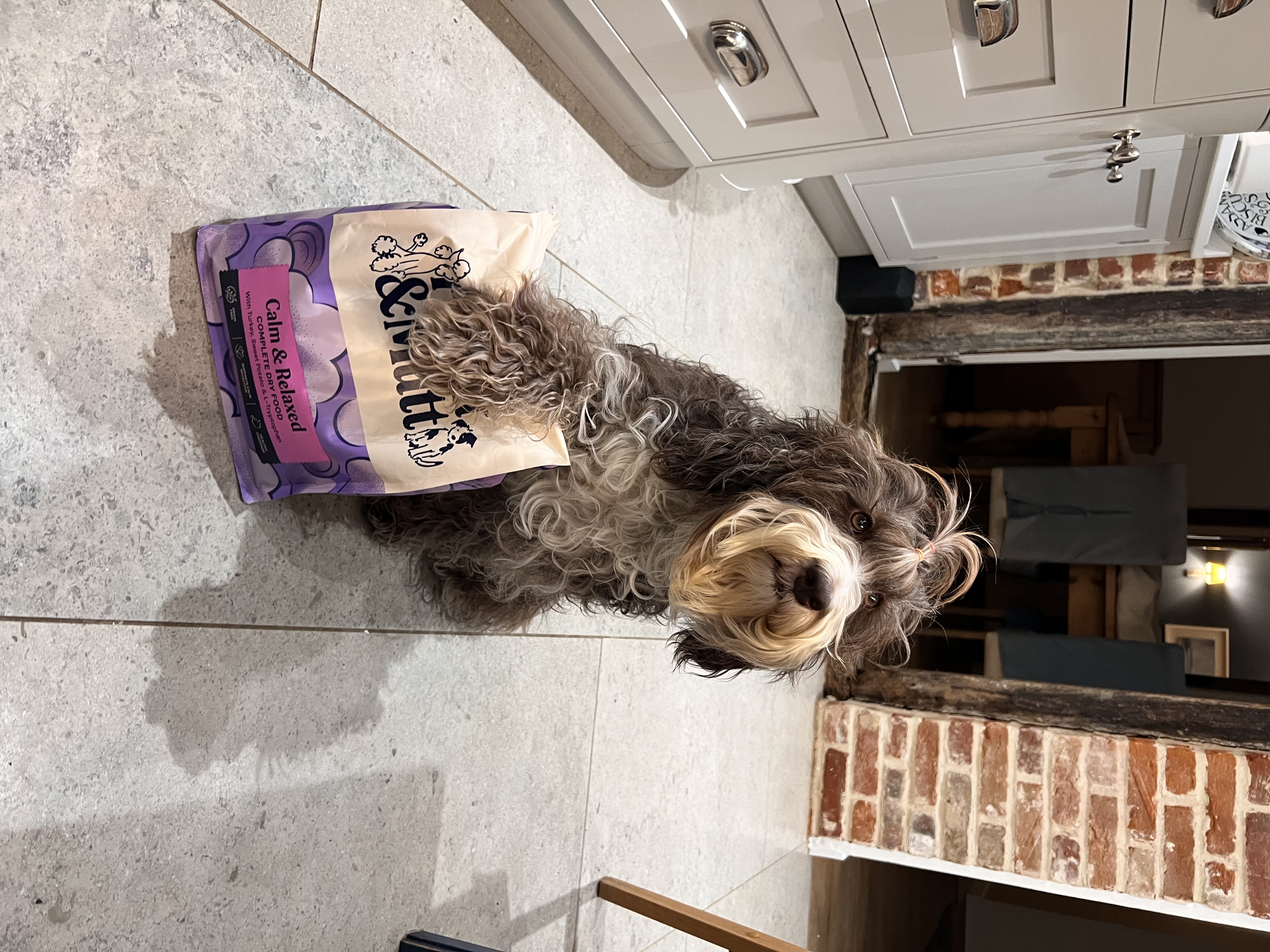 IMG 8703 - Betsi Bear