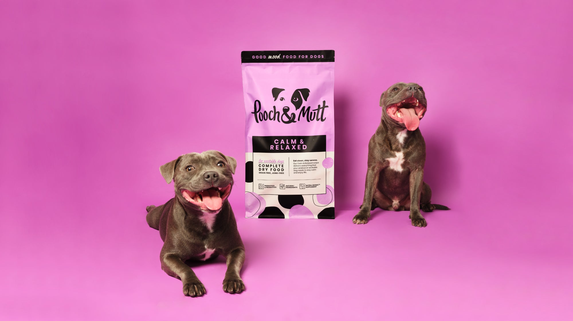 two staffordshire bull terriers with anxiety food 