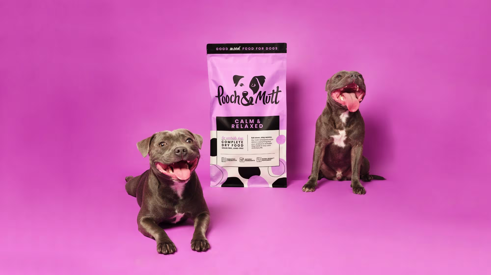 two staffordshire bull terriers with anxiety food