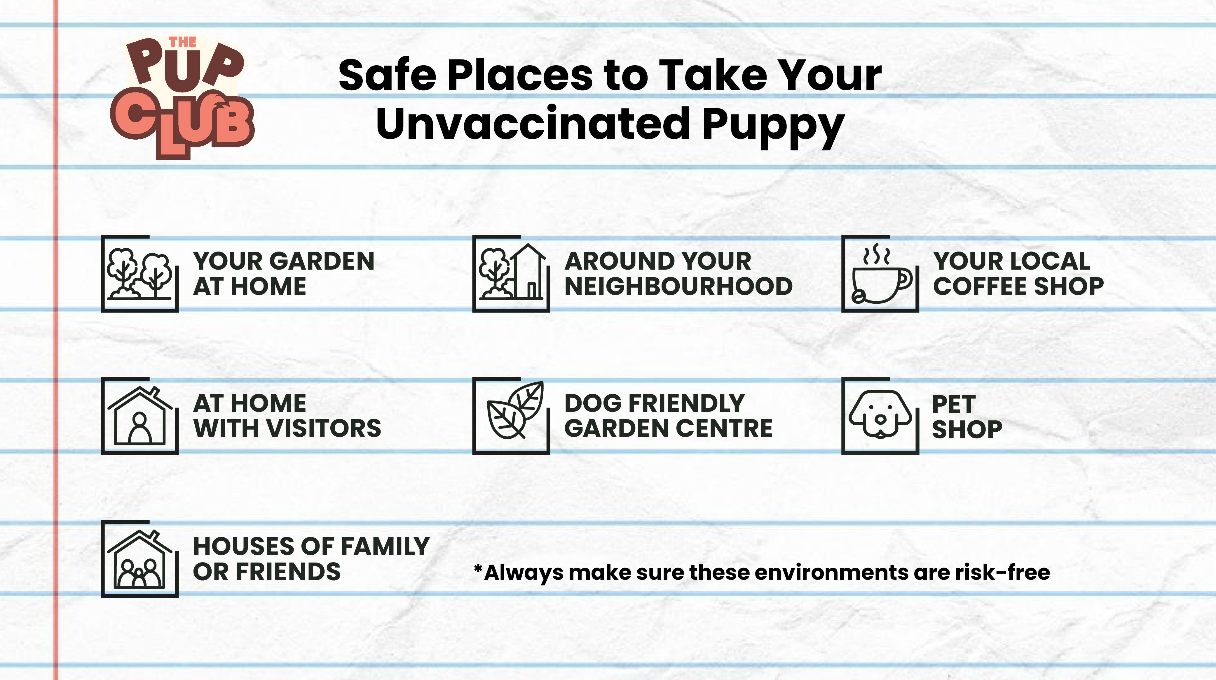Where's safe to take your unvaccinated puppy?-Image 2