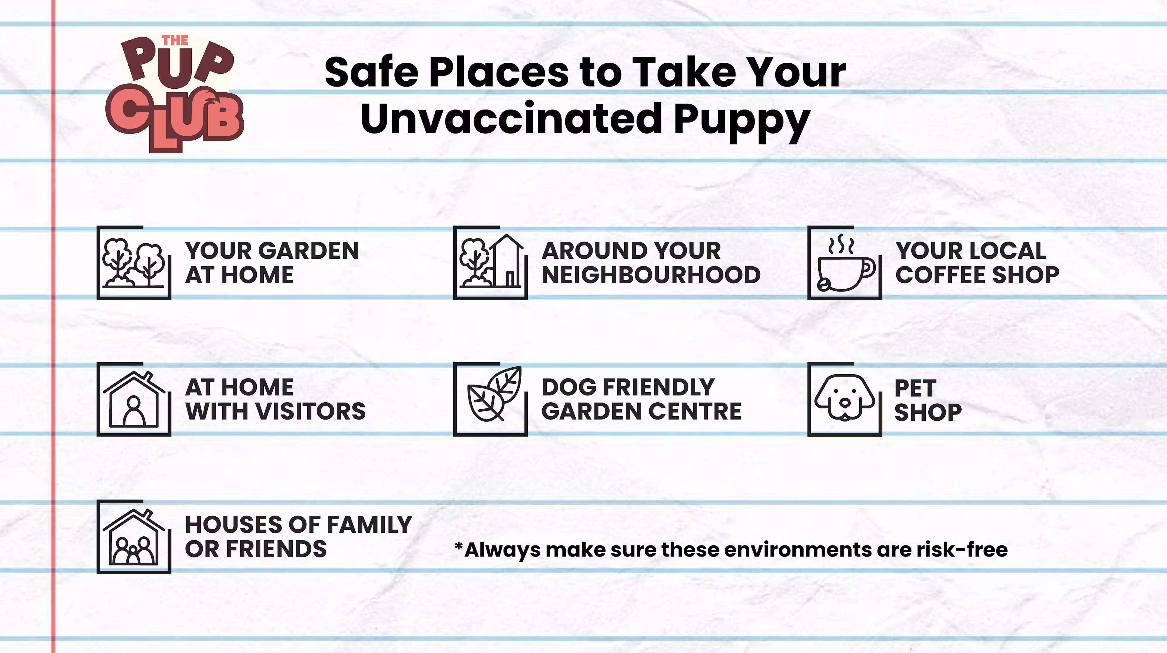 Where's safe to take your unvaccinated puppy?-Image 2
