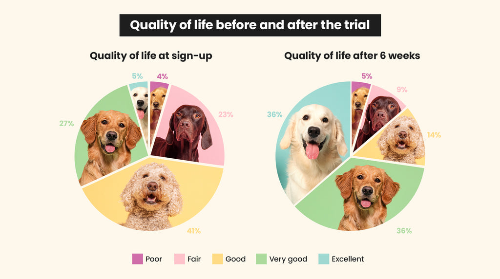 Our Joint Supplement Survey: The Results-Image 3