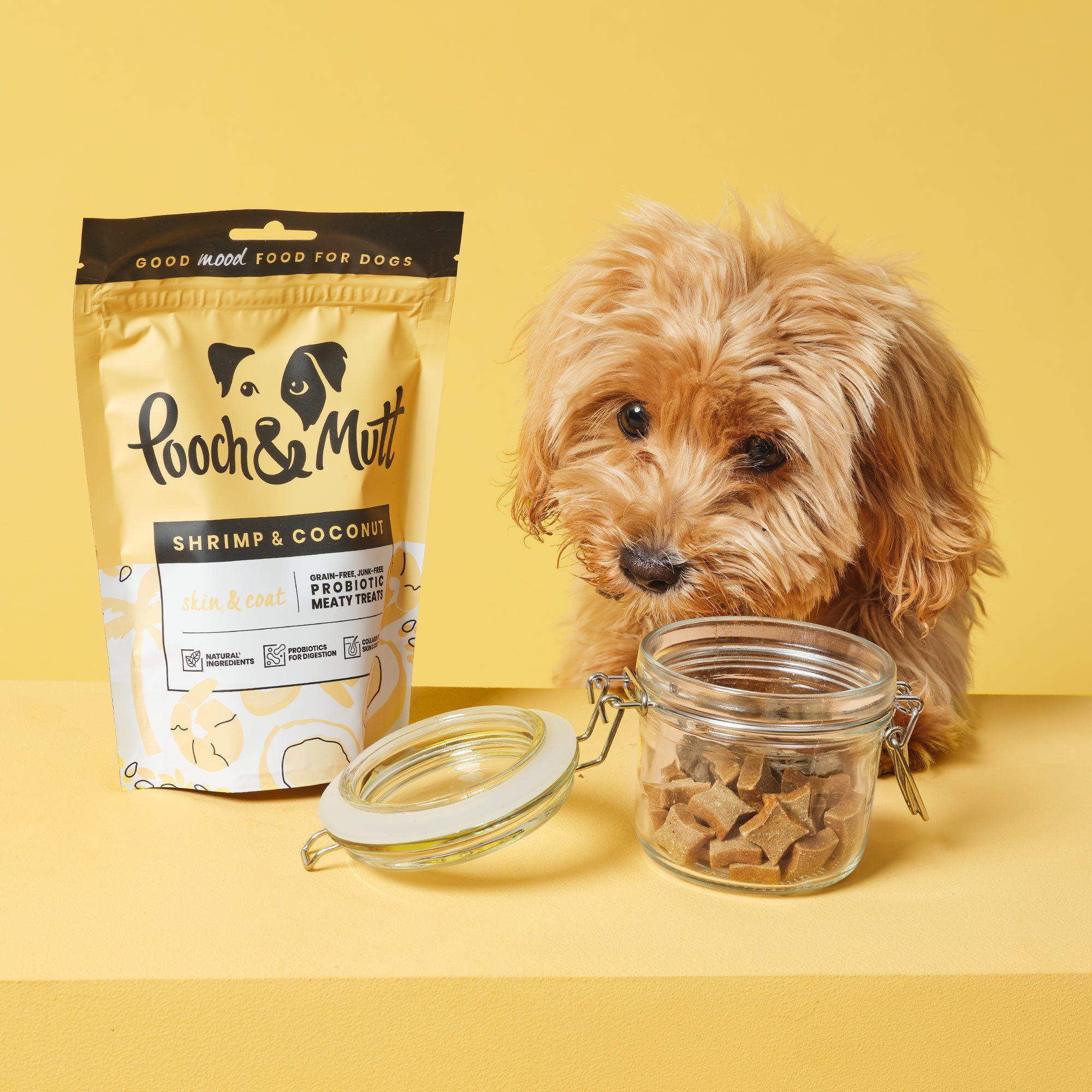 shrimp-and-coconut-treats-for-dogs-cockapoo