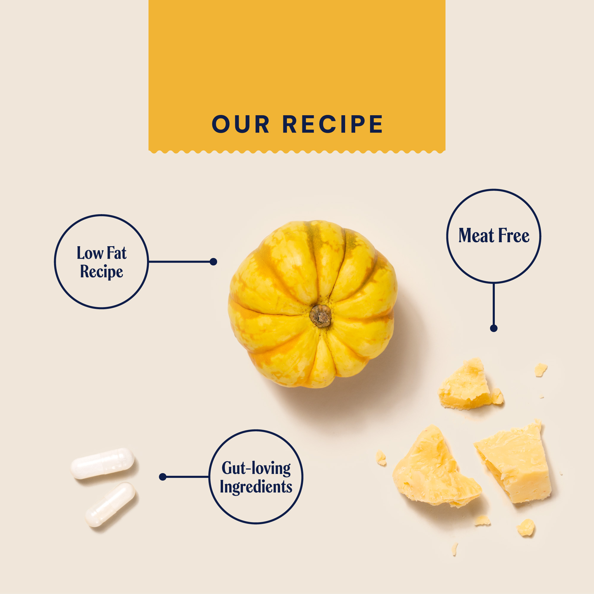 Cheddar Cheese Probiotic Treats MTCHSX1 1 recipecard