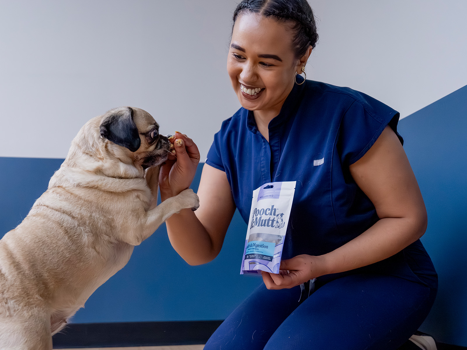 P&M WEBSITE VET BANNERS SUPPLEMENTS