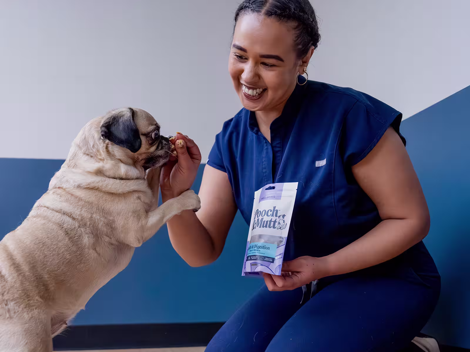 P&M WEBSITE VET BANNERS SUPPLEMENTS