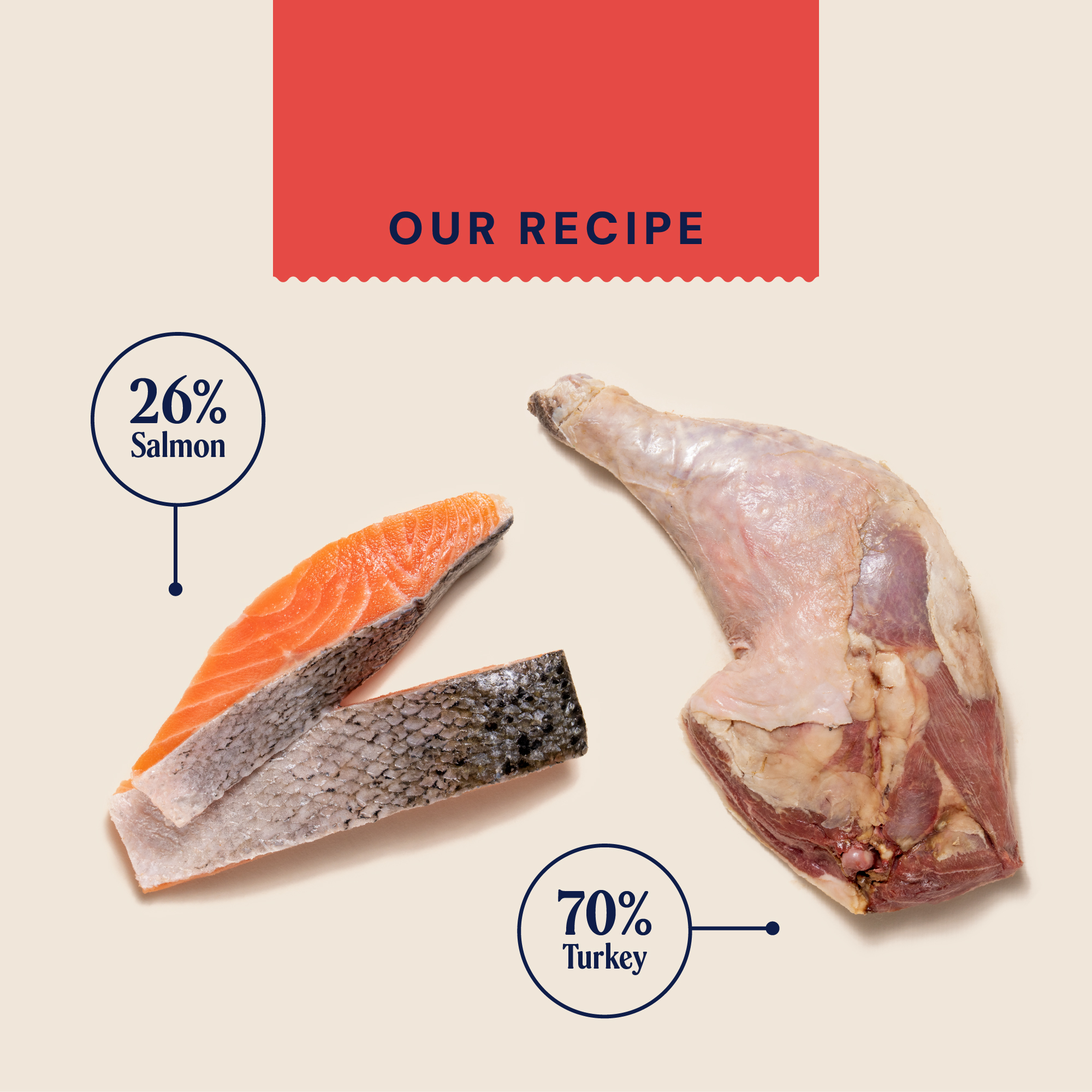P&M INGREDIENT IMAGE RAW TURKEY & SALMON FREEZE DRIED TREATS
