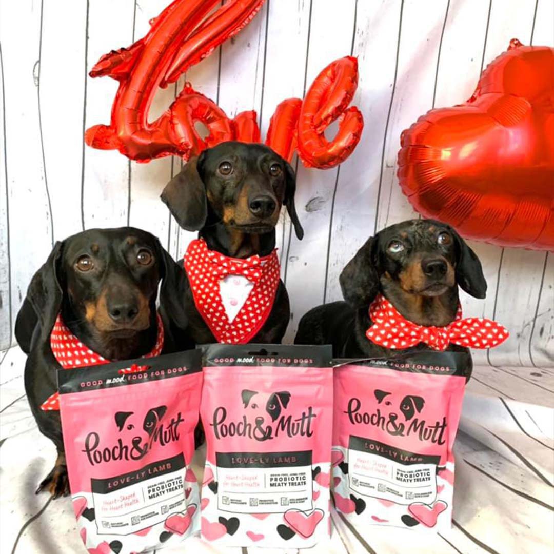 6 reasons to love our Love-ly Lamb Meaty Treats-Image 13