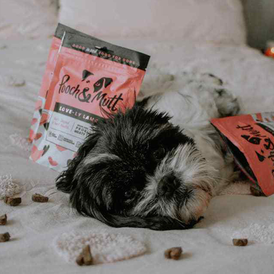 6 reasons to love our Love-ly Lamb Meaty Treats-Image 8