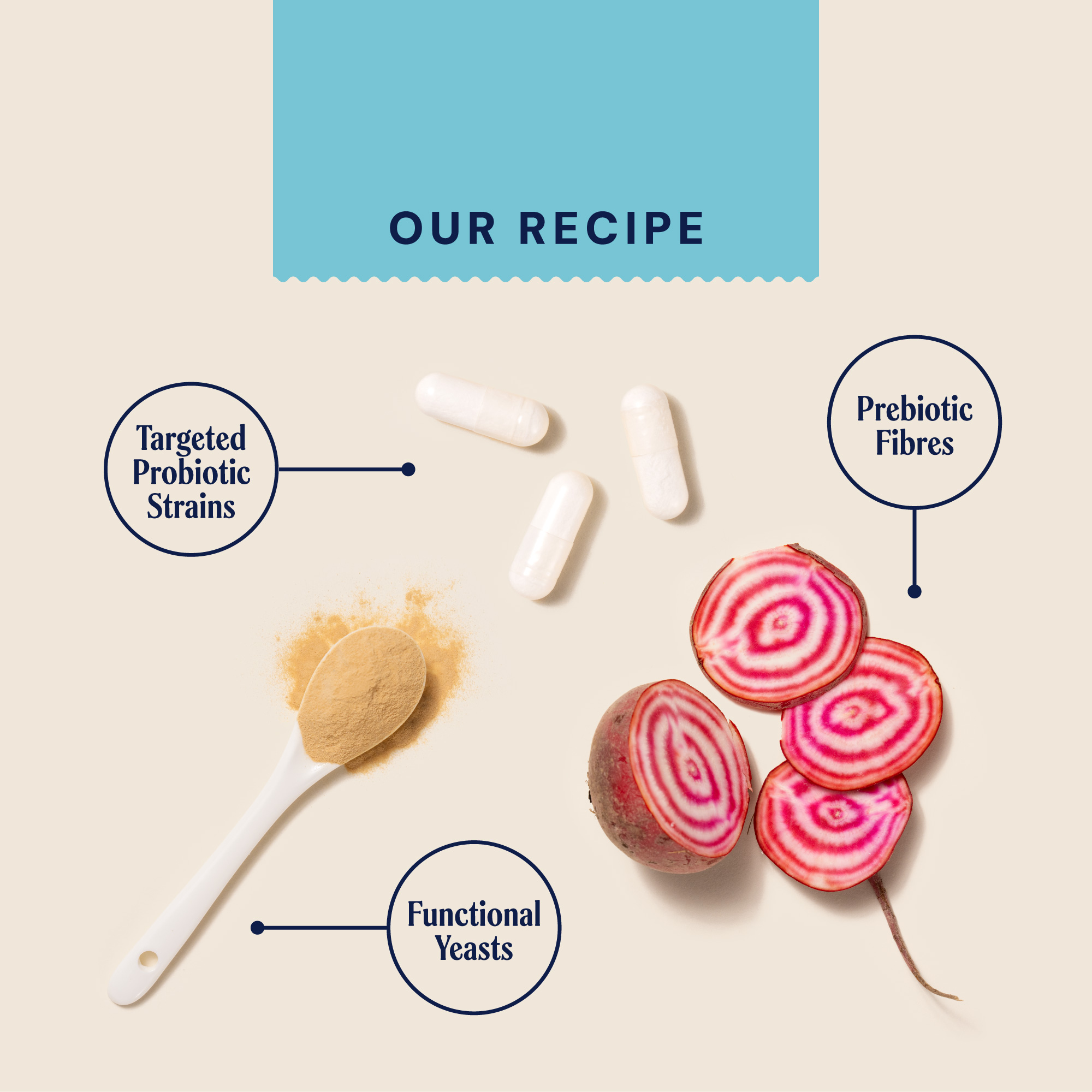 P&M INGREDIENT IMAGE SUPPLEMENTS VETERINARY MICROBIOME SUPPORT