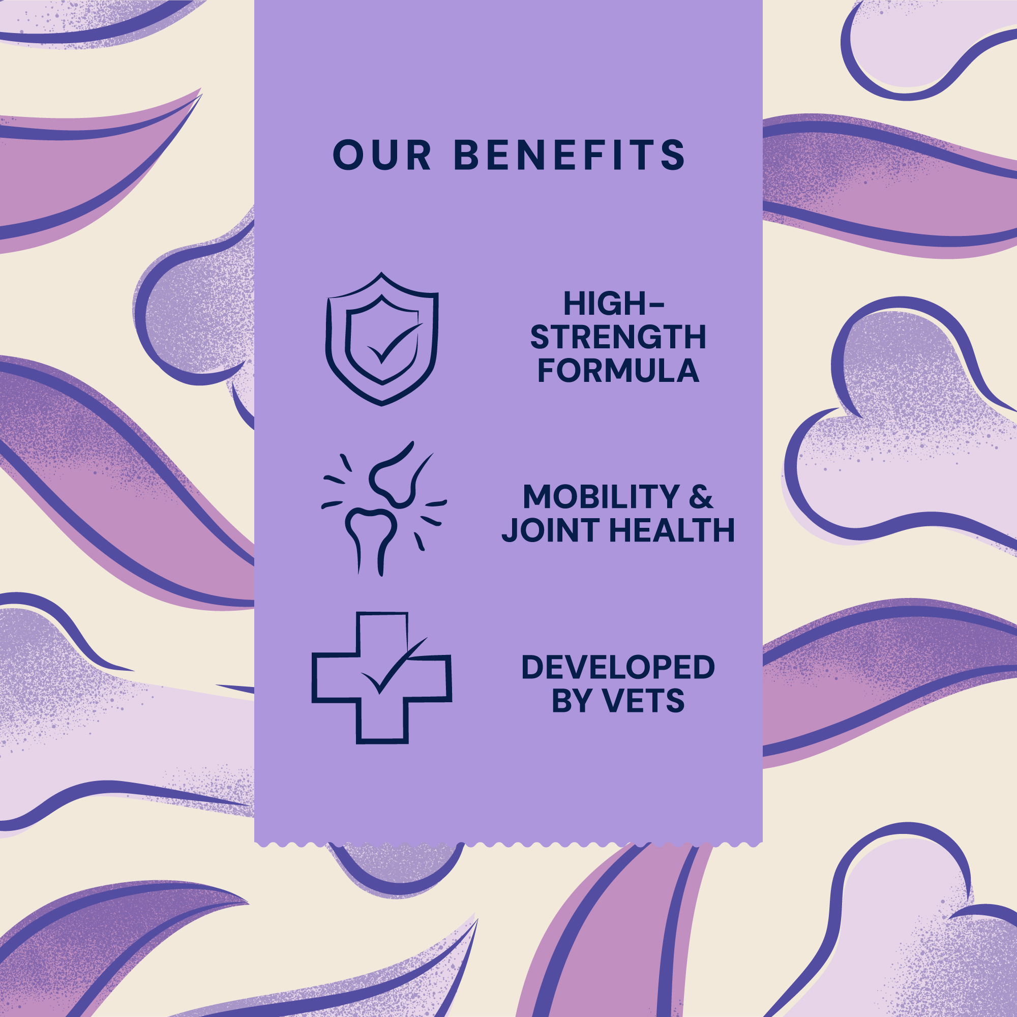 P&M BENEFIT-CARD SUPPLEMENTS WELLBEING JOINT-&-MOBILITY TASTY-DAILY-TABLETS