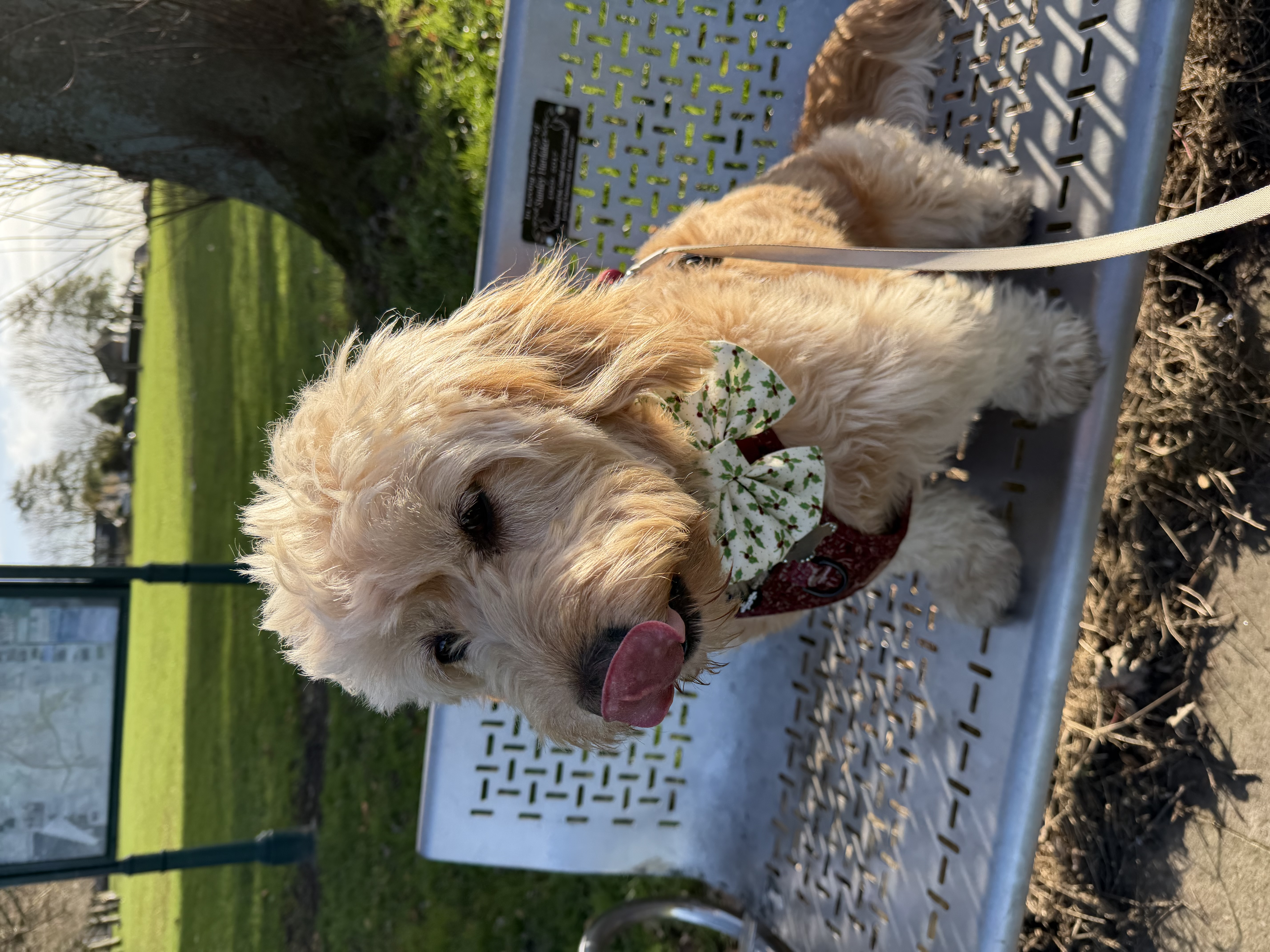 IMG 0525 - Sam Moore