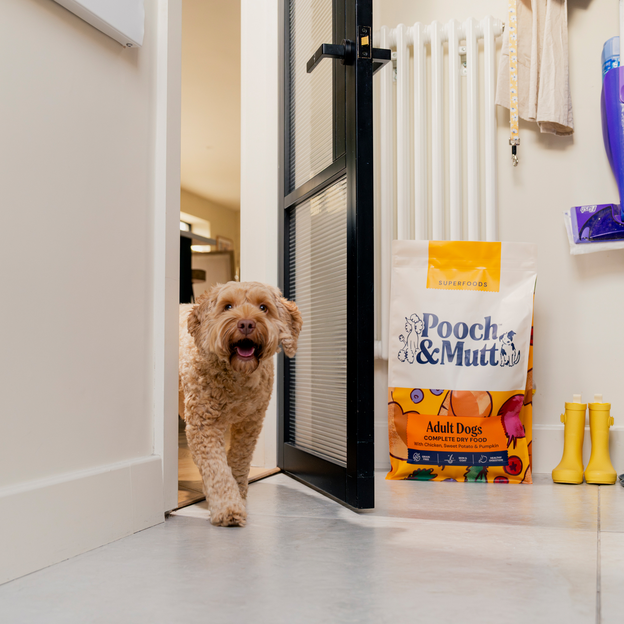 Adult Complete Superfood SF7.5ADULT 1 lifestyle