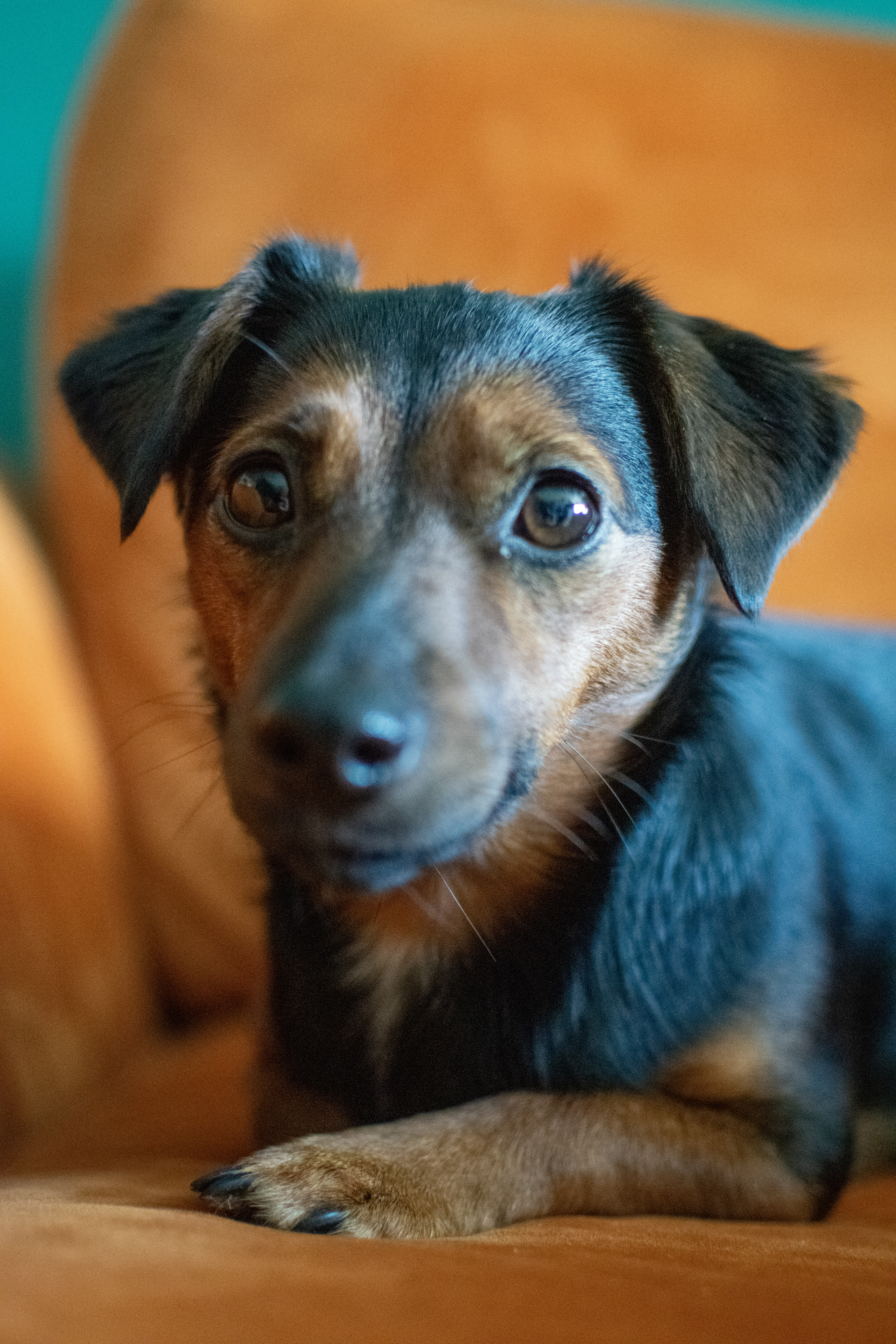 4-DSC 0145 - Abigail Thompson