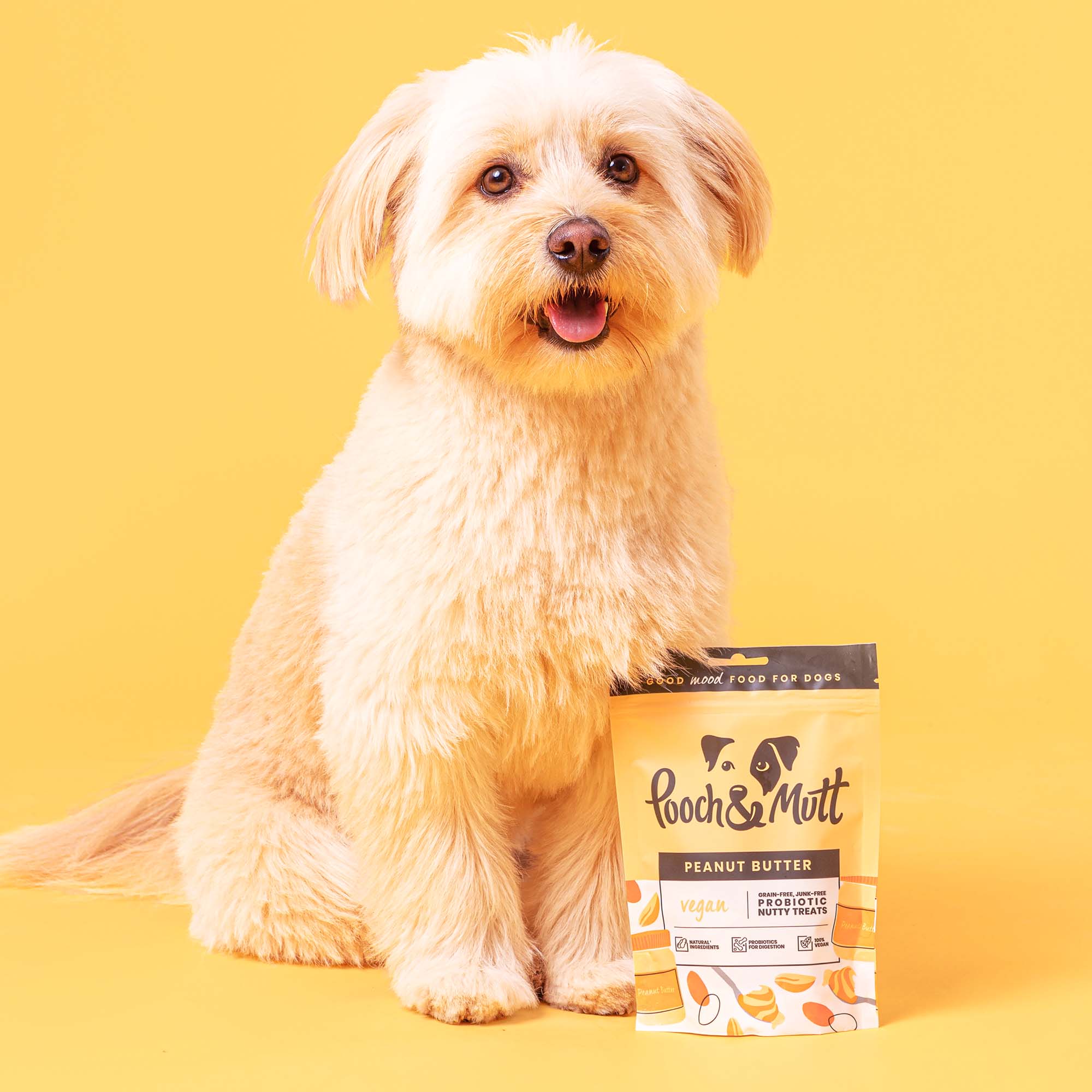 POOCH MUTT PEANUTBUTTER 6390 72dpi