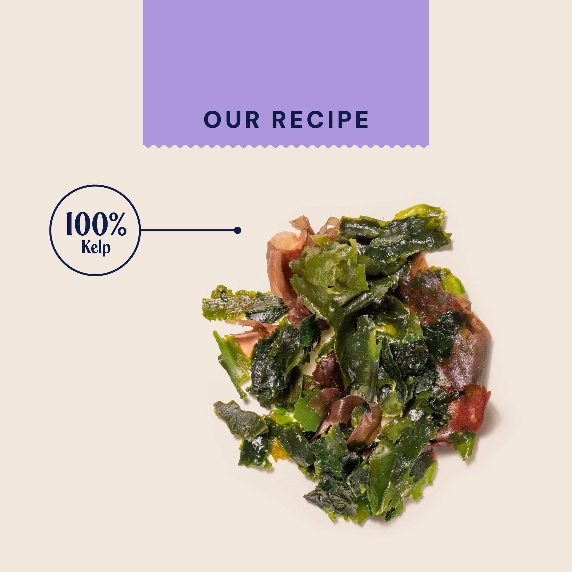 Dental Powder For Dogs SUP100DENTAL 1 recipecard