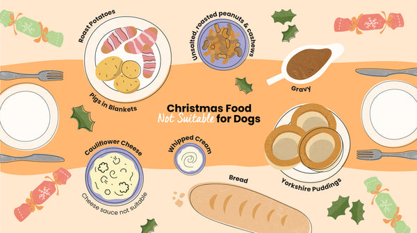 An infographic that shows an illustrated Christmas Dinner table showing what festive foods are unsuitable for dogs. It includes roast potatoes, unsalted roasted peanuts and cashews, gravy, Yorkshire puddings, pigs in blankets, cauliflower cheese, bread and whipped cream