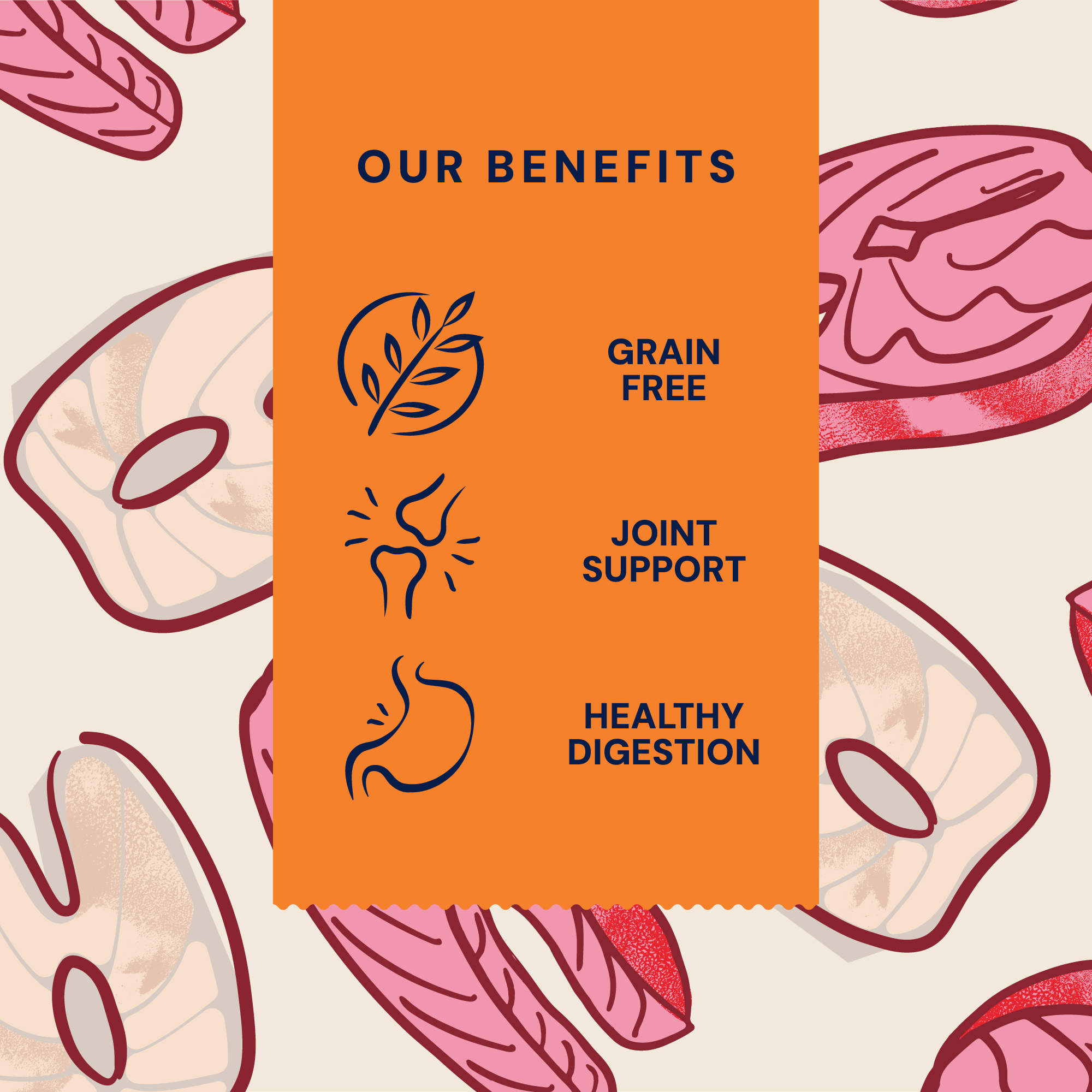 P&M BENEFIT CARD DRY FOOD PRIMAL SALMON