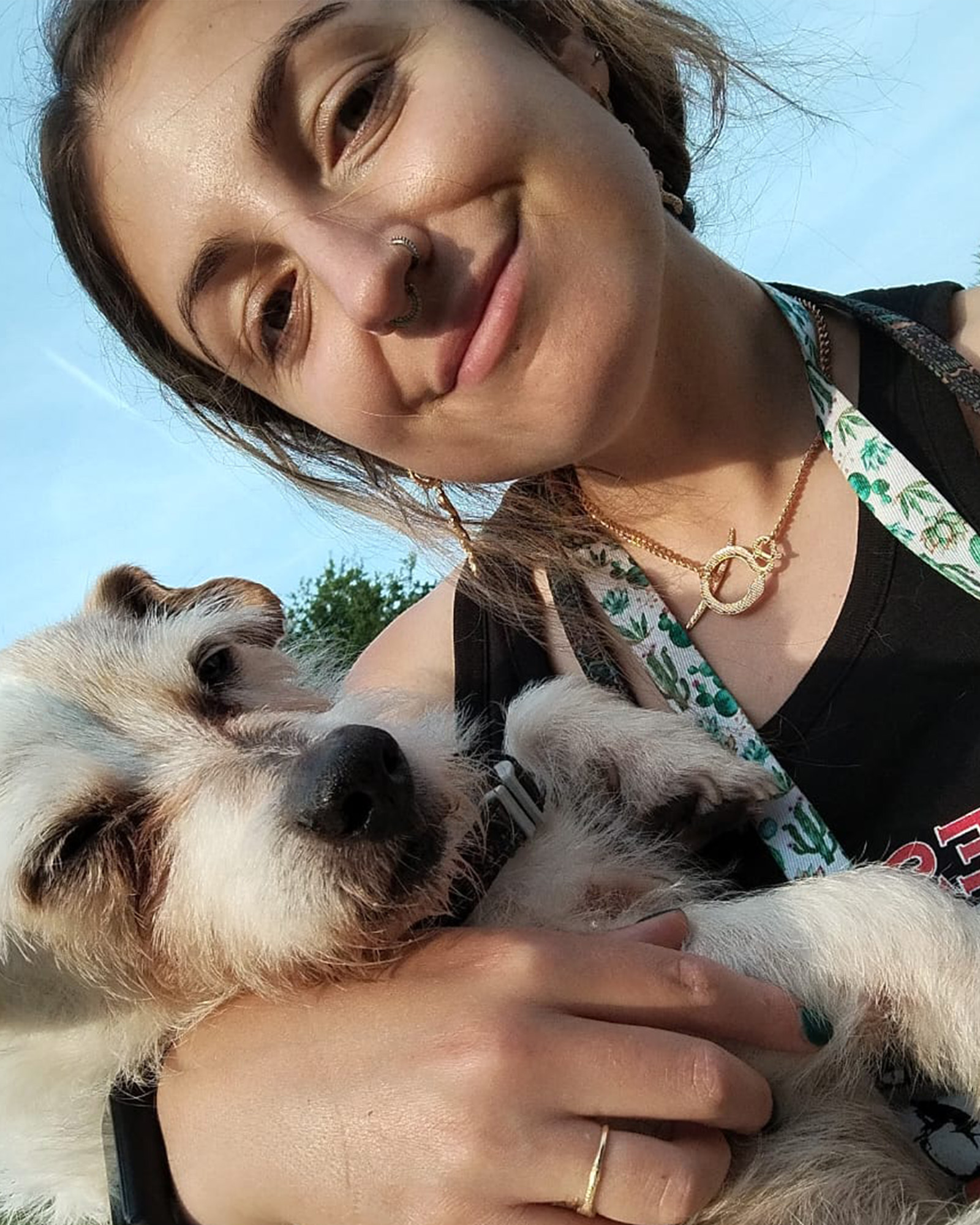 Dog Owner Holding Their Dog