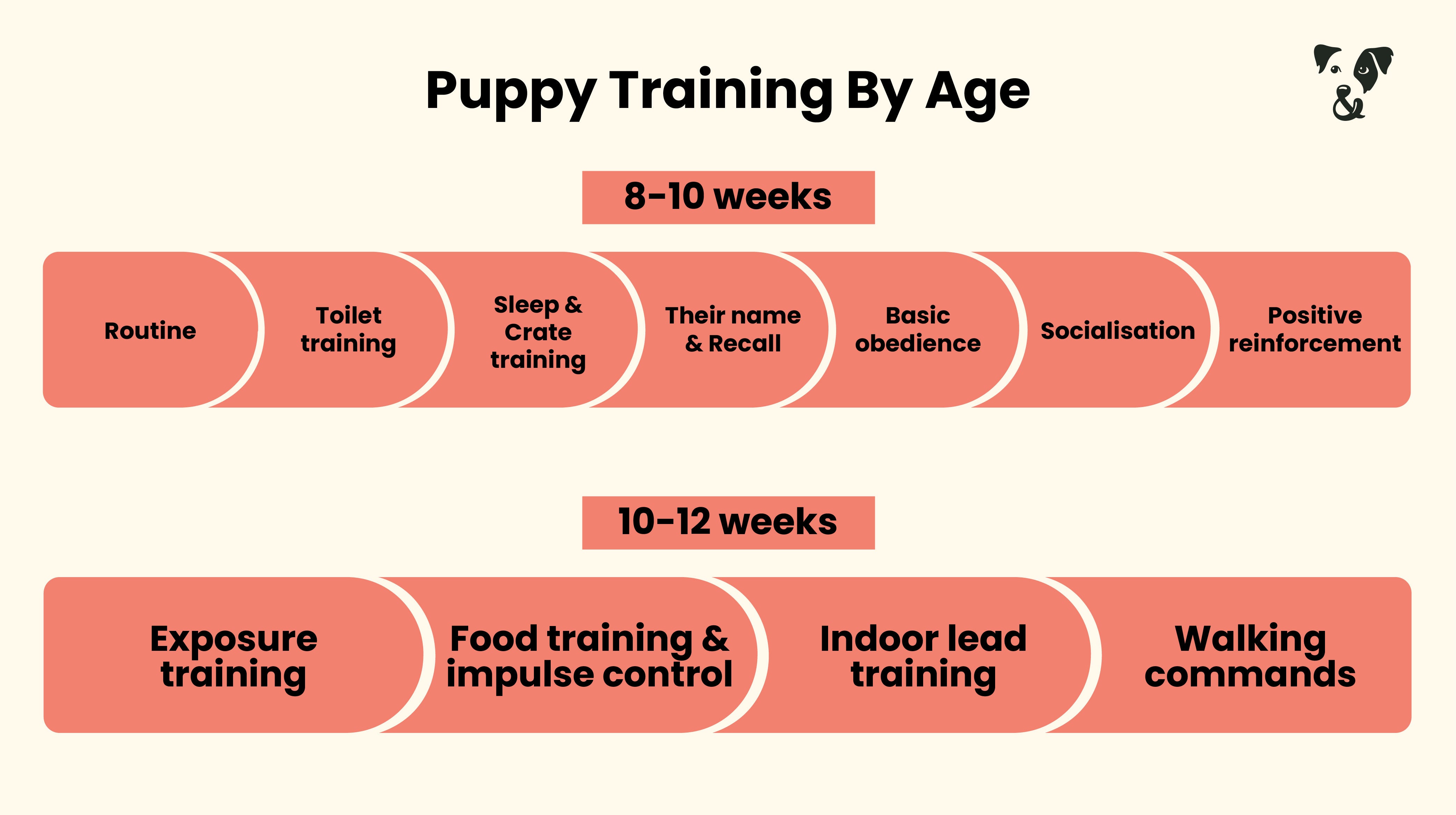 Puppy training schedule: By age-Image 2