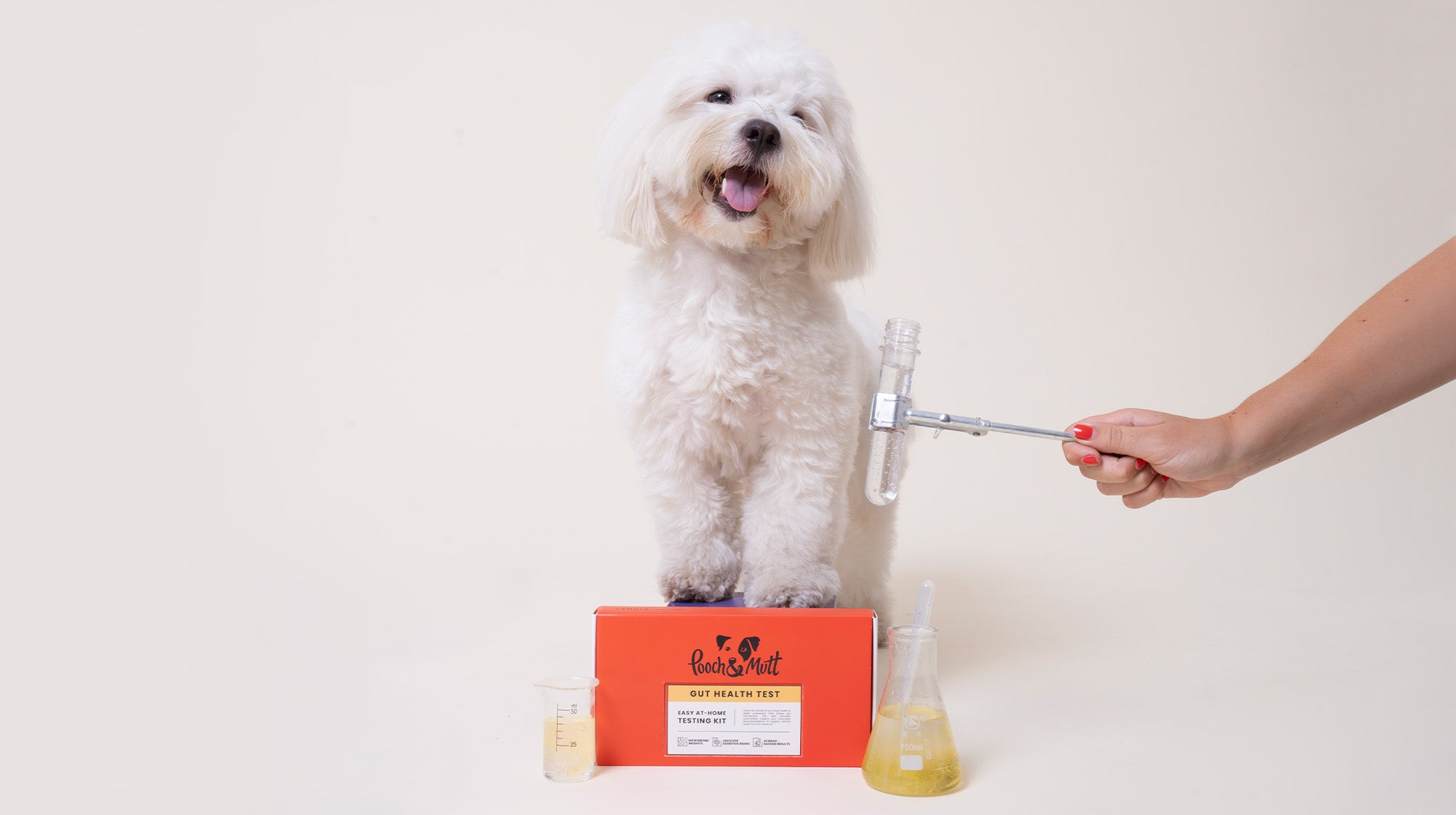 Weight issues in dogs: How your dog’s gut microbiome could be to blame-Image 3
