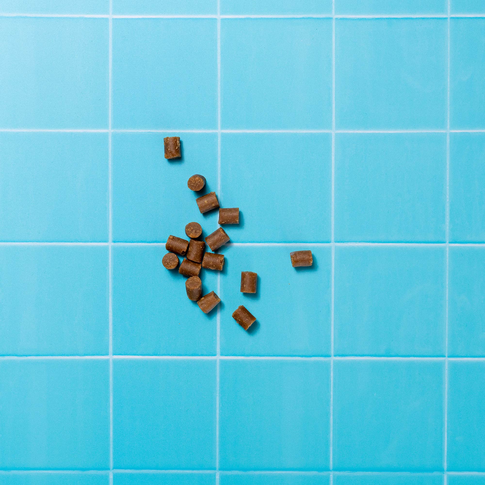 FIBRE MINIS VETERINARY P&M REBRAND