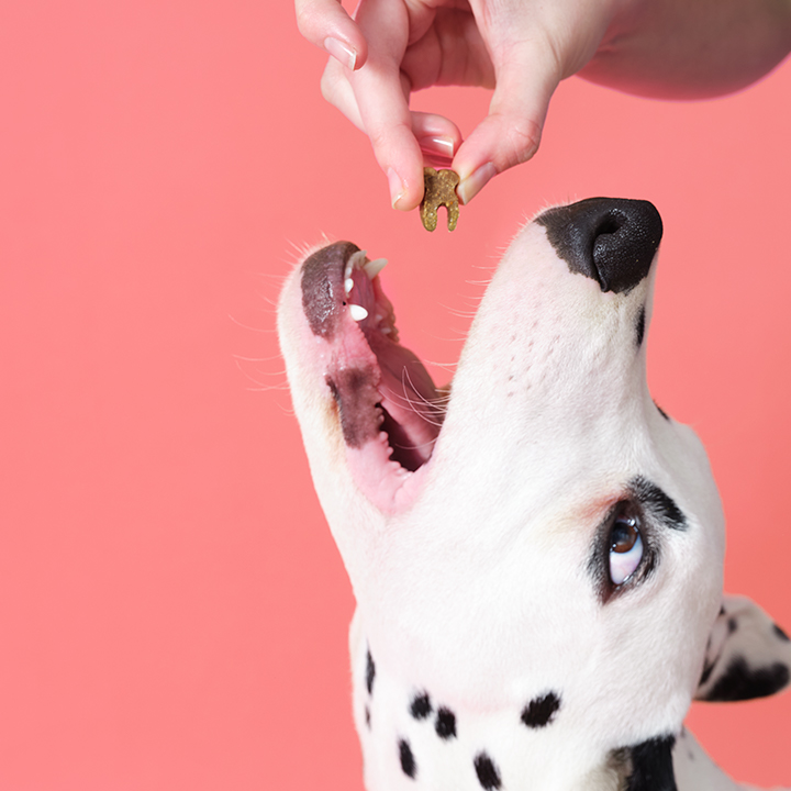 grain-free-meaty-treats-for-dogs-with-probiotics-for-dental-health