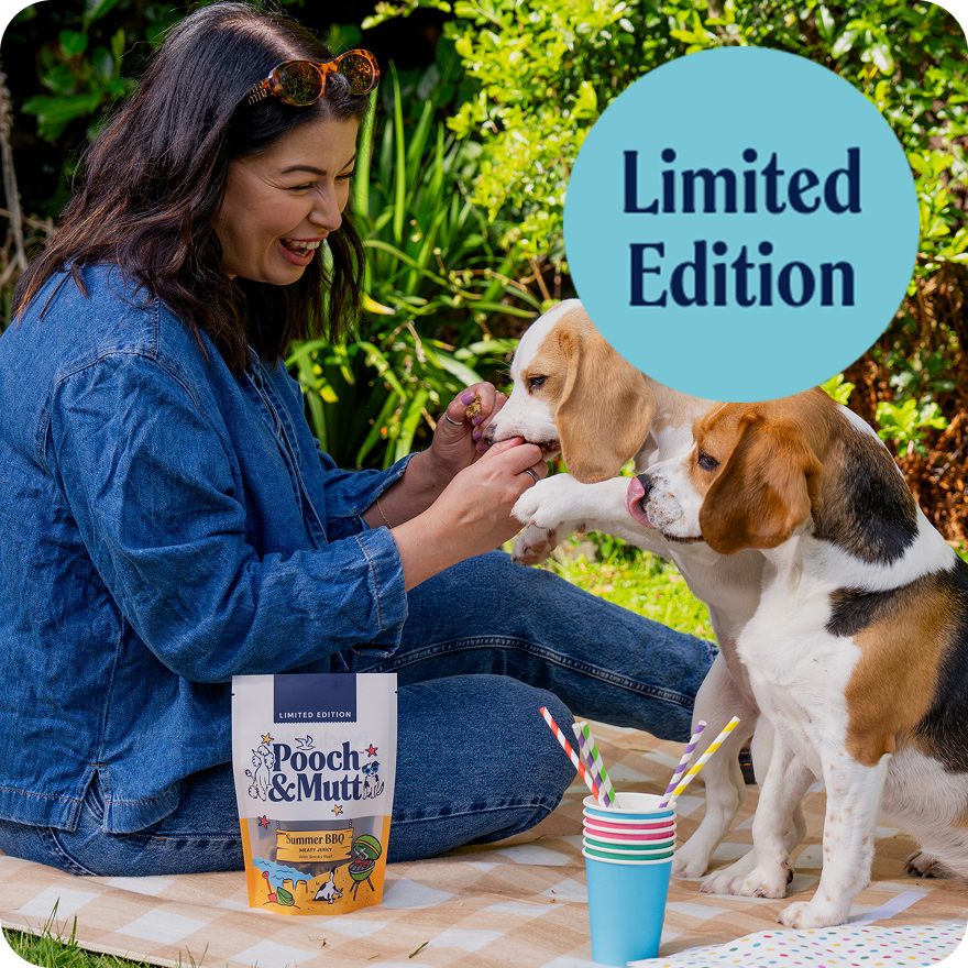 WEB LE SUMMER BBQ JERKY HOMEPAGE BANNER IMAGE 1