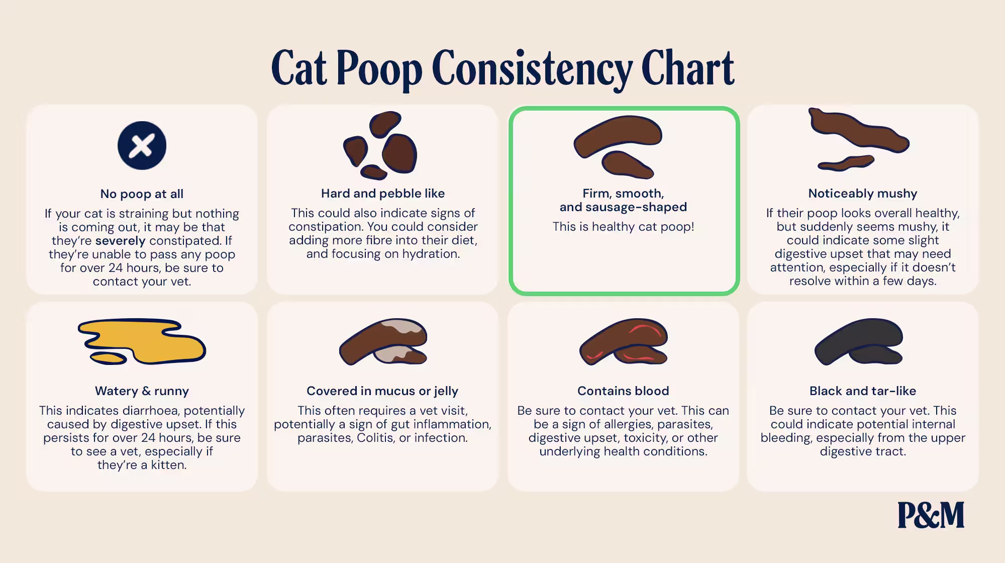 P&M BLOG INFOGRAPHICS CAT POOP CONSISTENCY CHART (1)