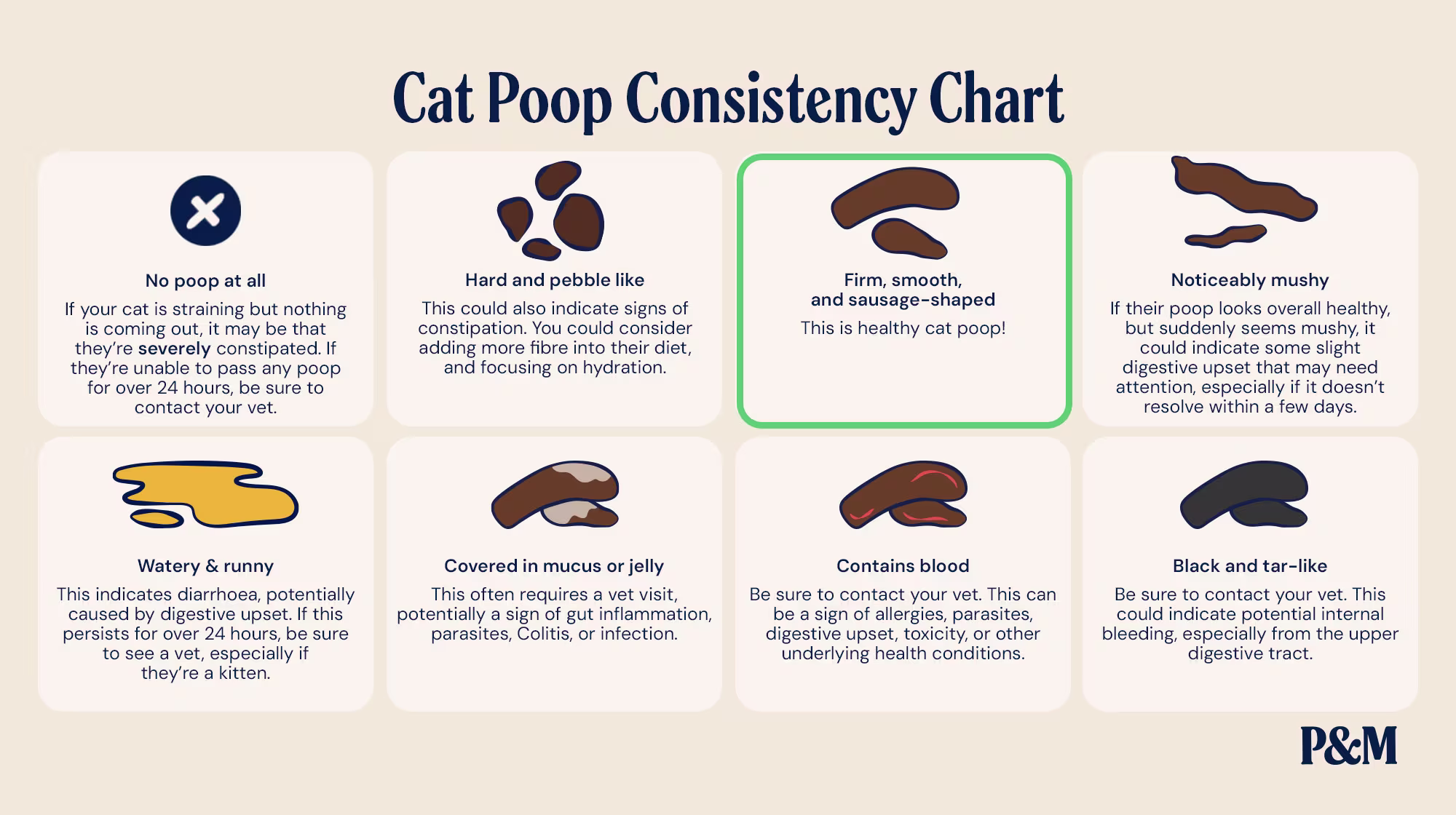 P&M BLOG INFOGRAPHICS CAT POOP CONSISTENCY CHART (1)