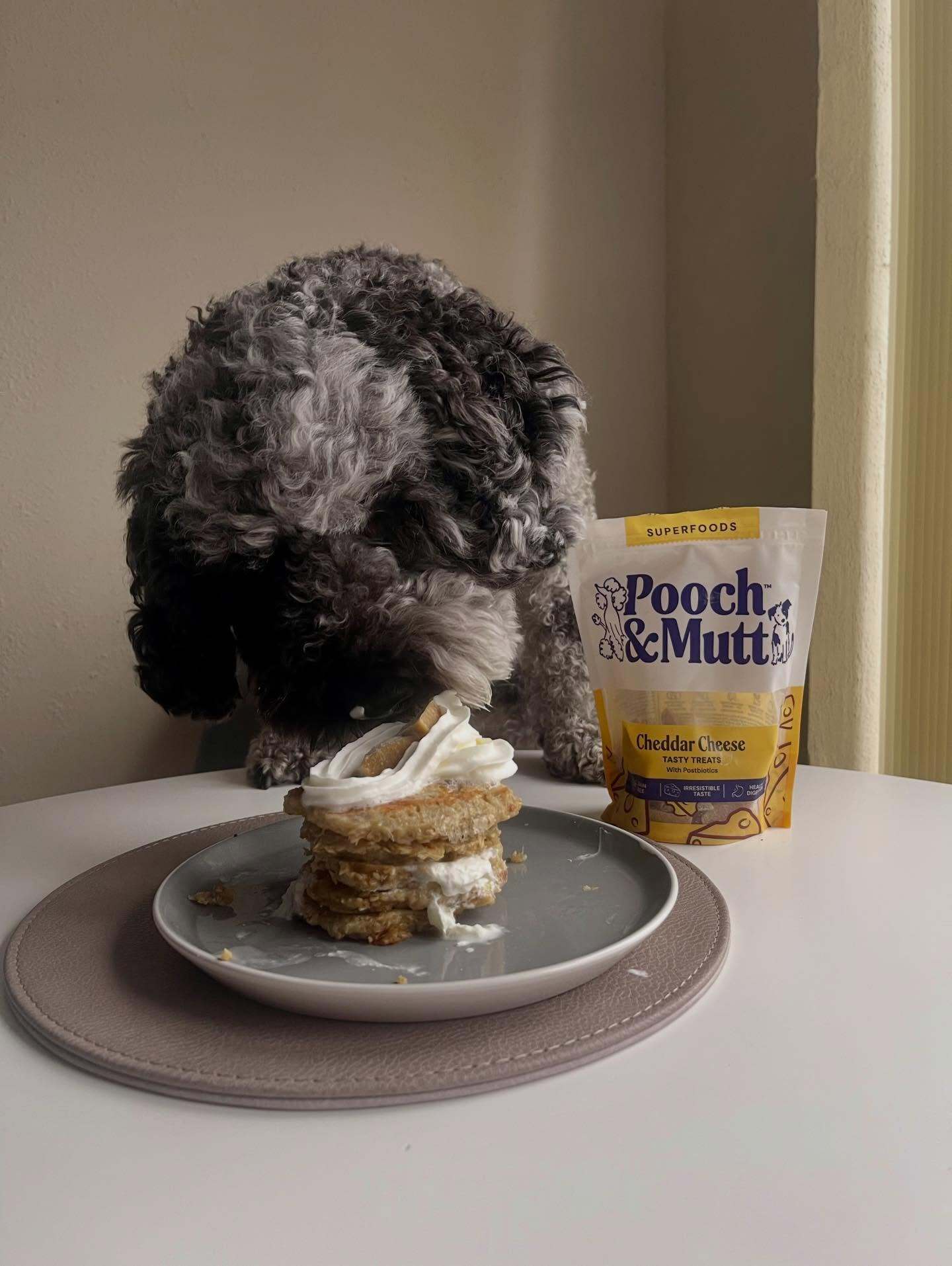 nothing_gets_cheddar_than_this-pancake