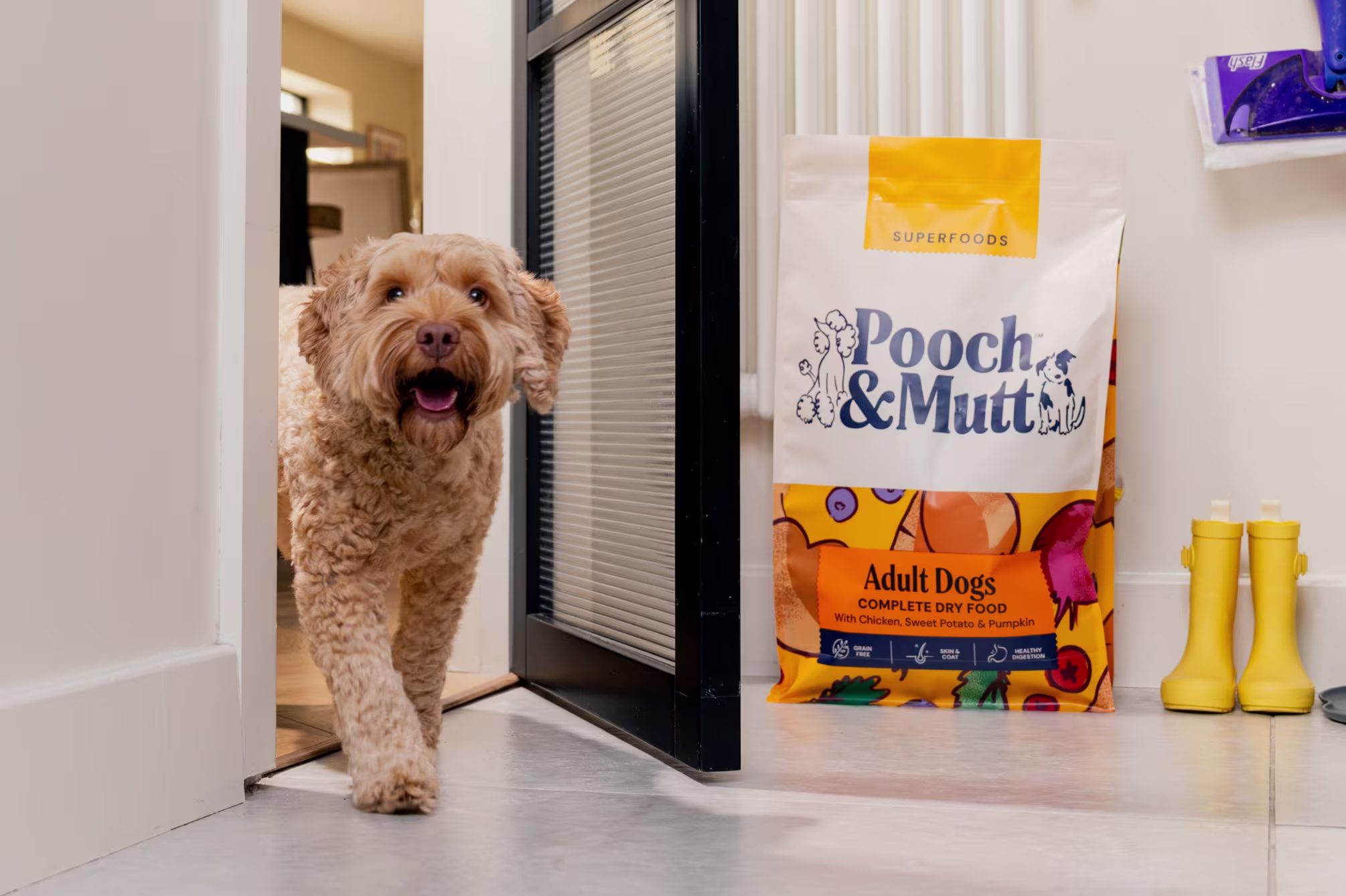 Superfoods collection banner