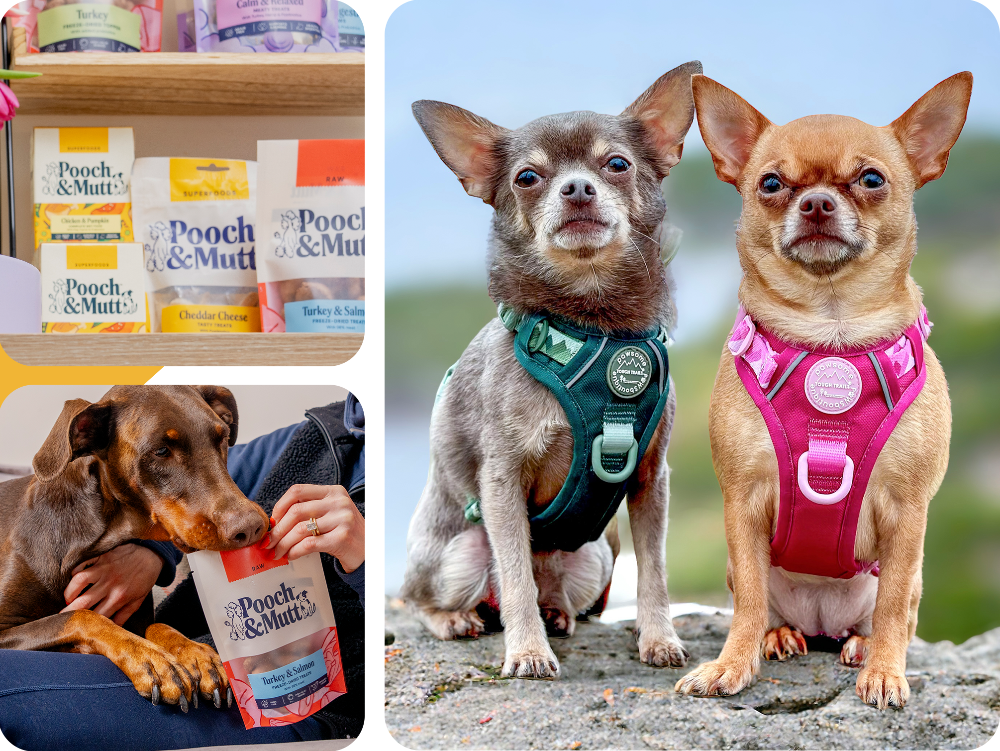 AFFILIATES COMPETITION PAWSOME BOUTIQUE LANDING PAGE BANNER IMAGE