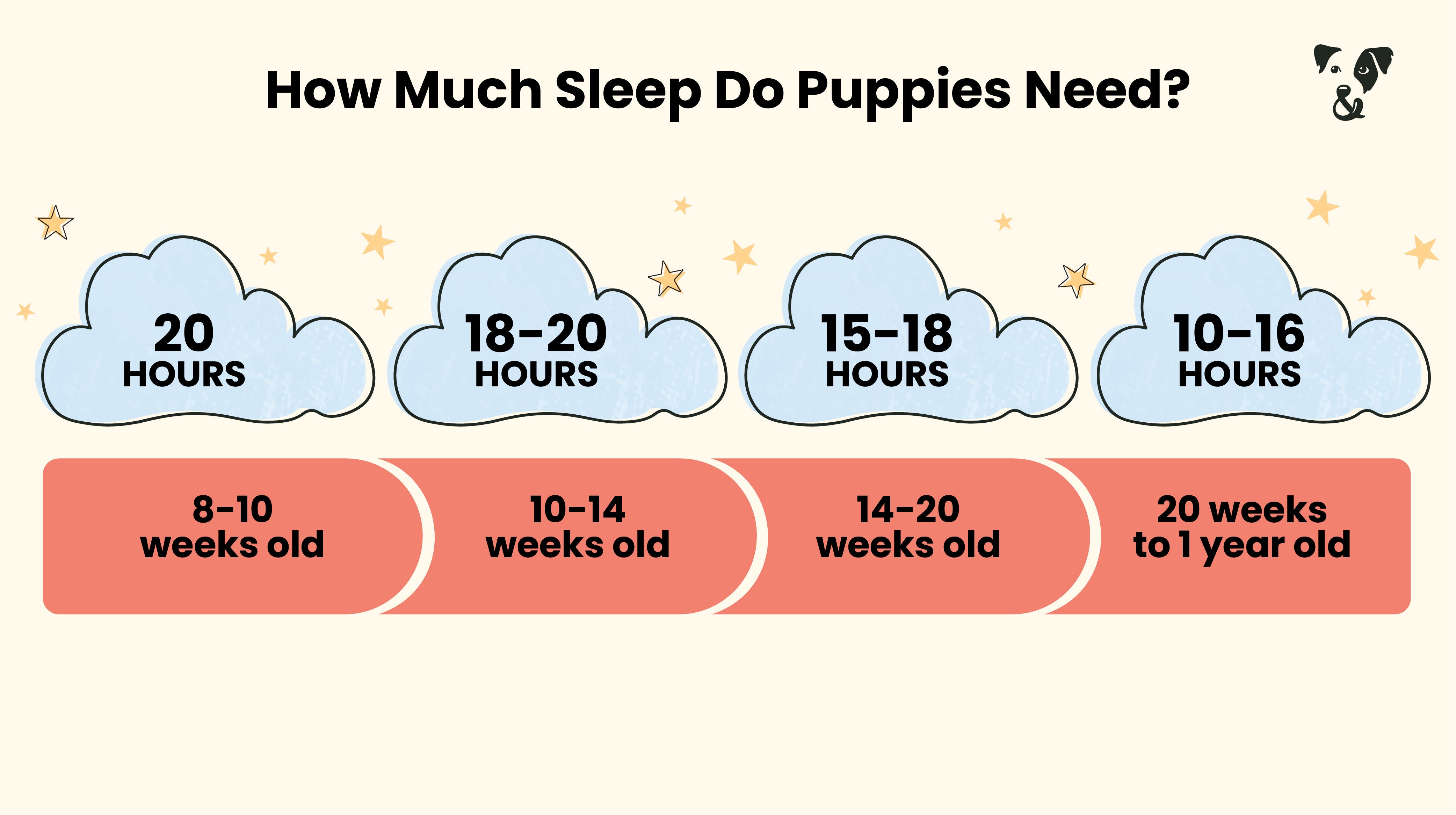 The best sleeping schedule for your puppy-Image 2