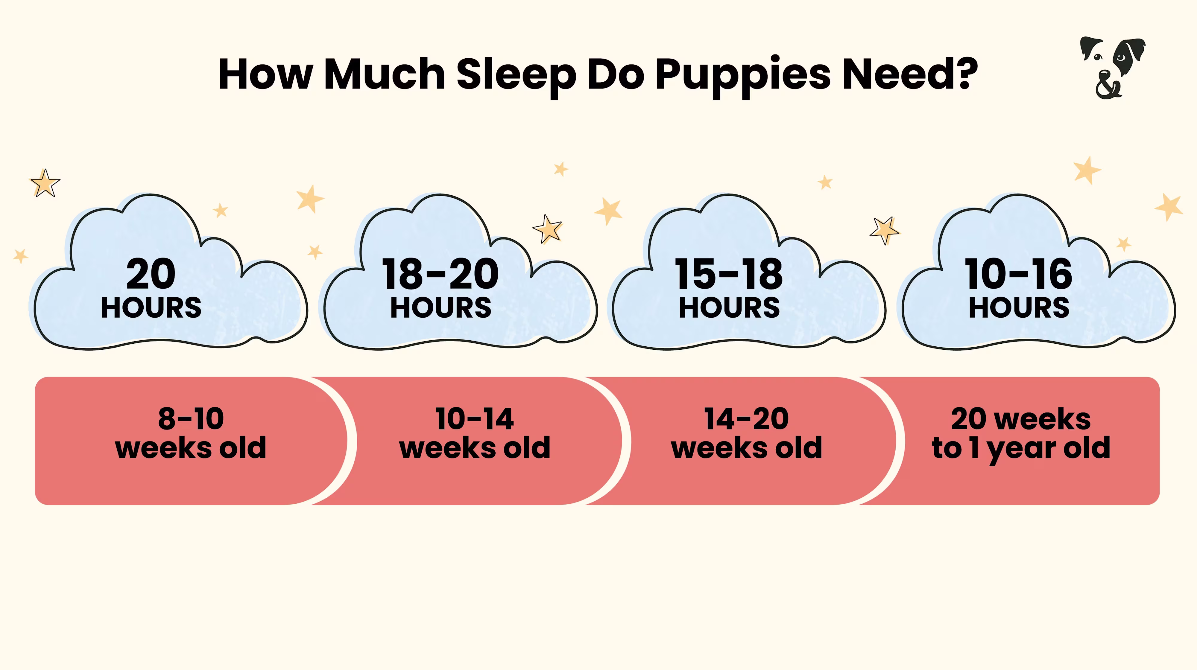 The best sleeping schedule for your puppy-Image 2