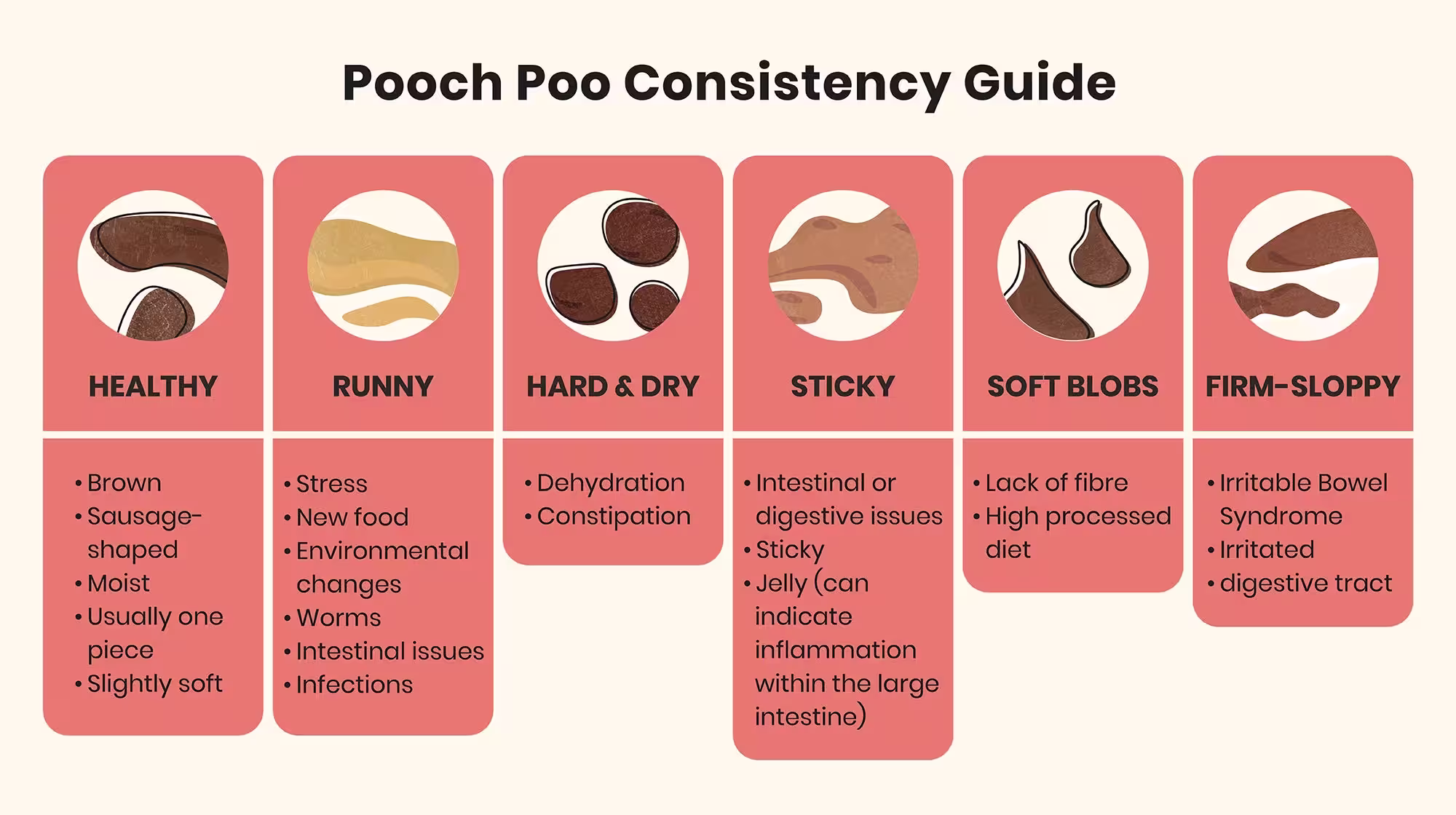 Everything you need to know about your puppy's poop-Image 2