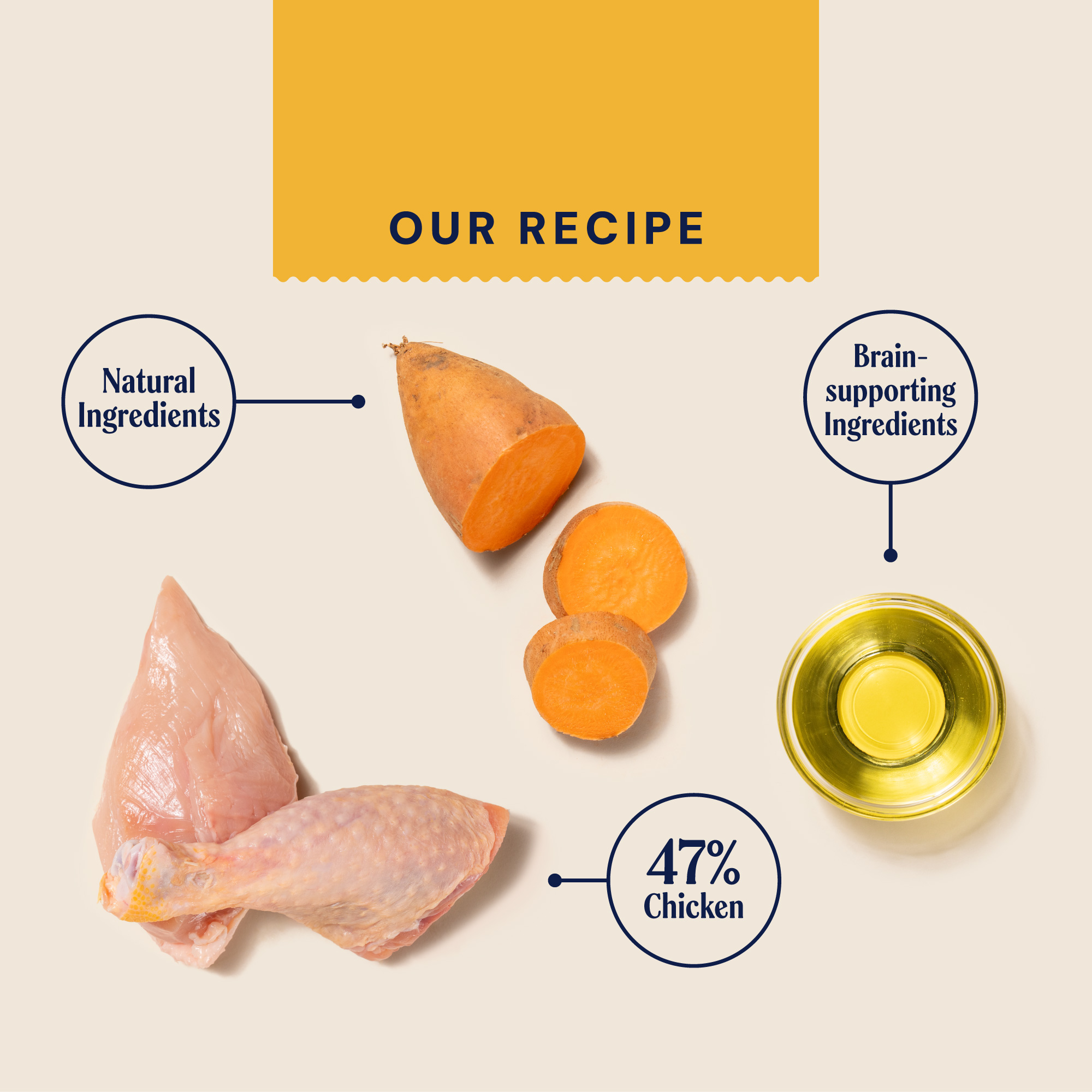 Puppy Wet Food TETRA375PUP 1 RECIPECARD