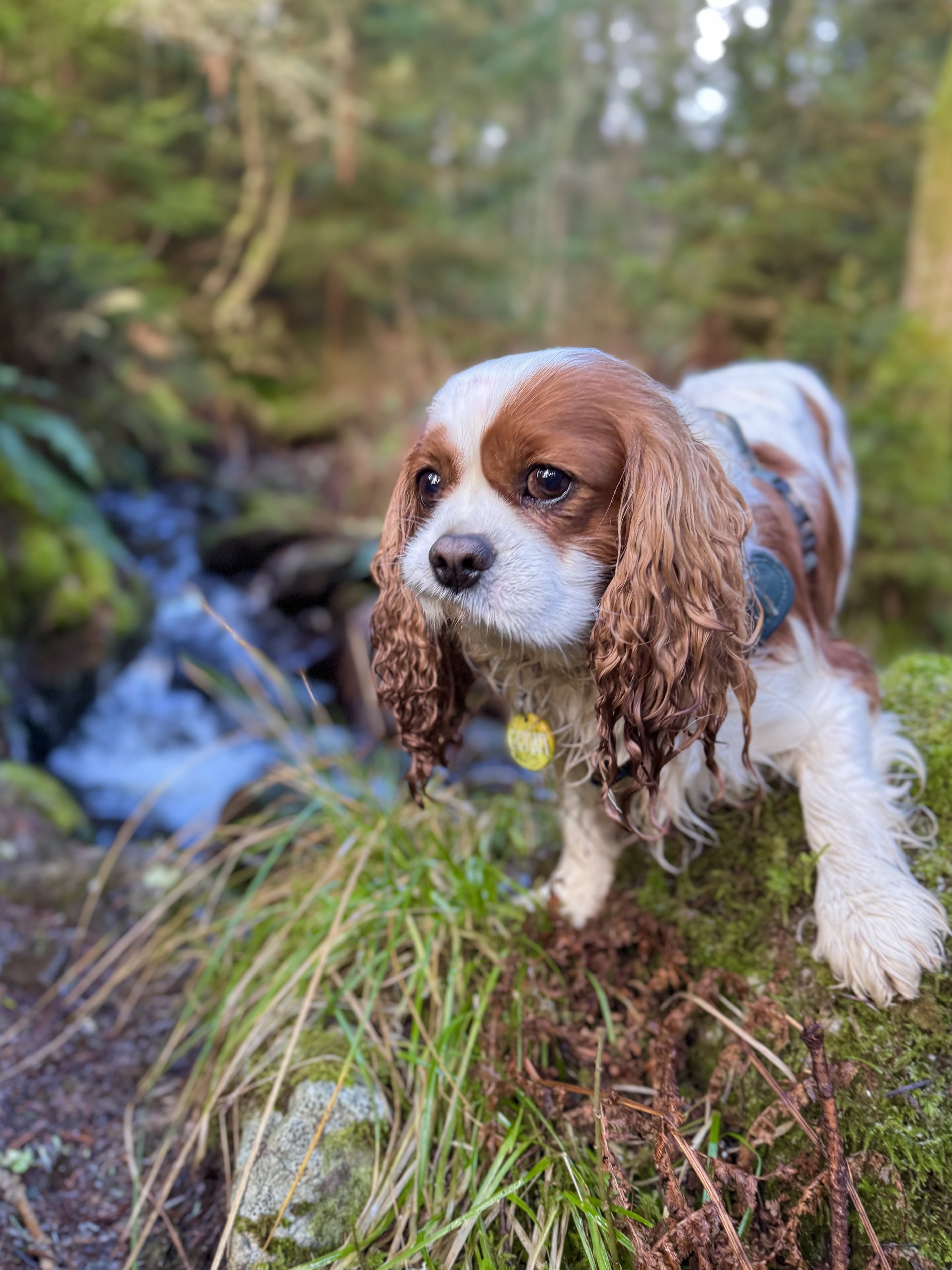 IMG 1086 - Amy Wilson