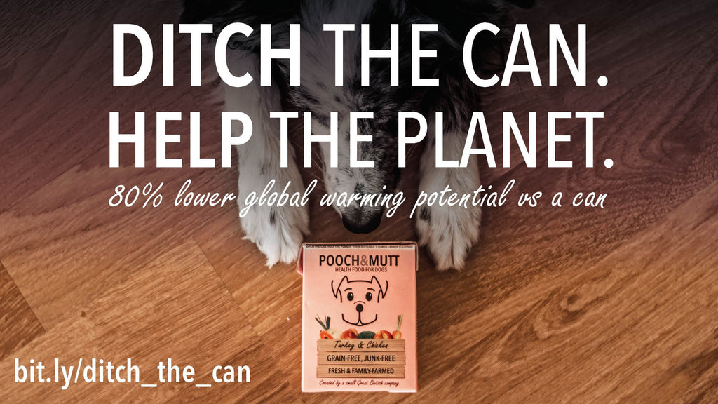 5 simple truths of how cartons are more environmentally friendly than cans-Image 1