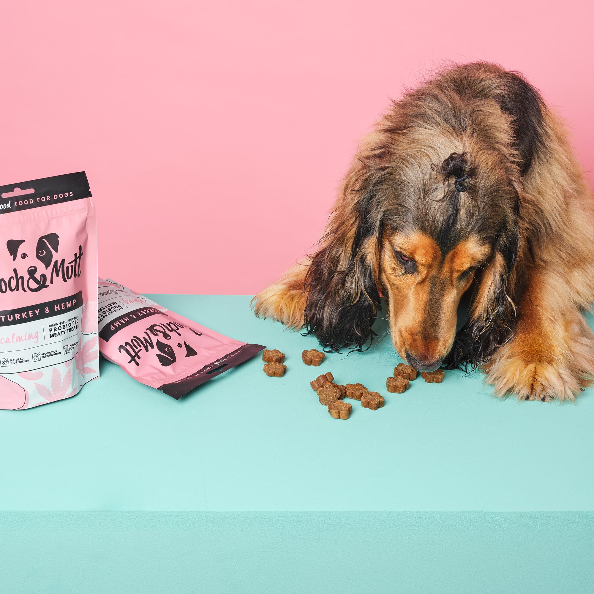 Probiotic-meaty-treats-for-dogs-calming