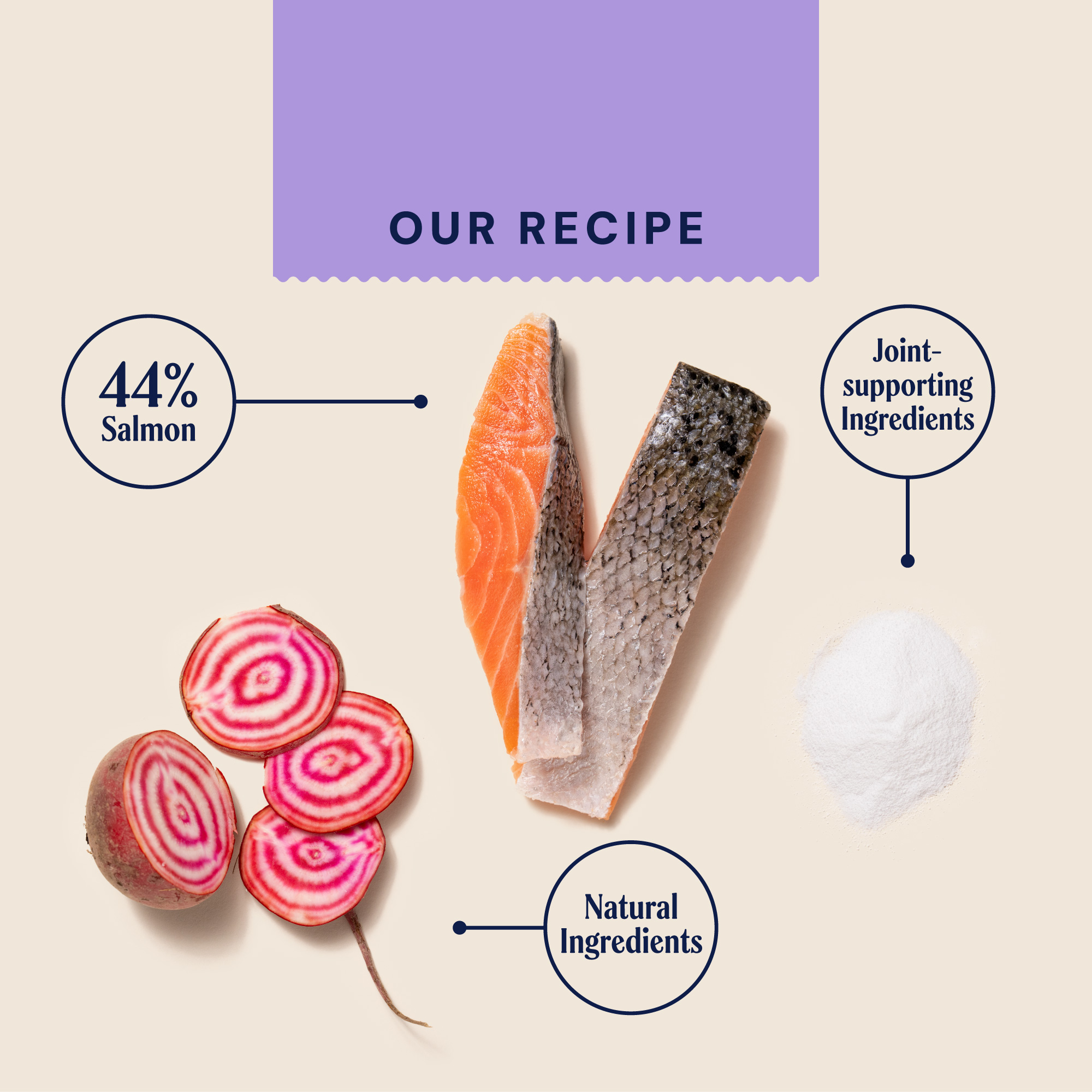 P&M INGREDIENT IMAGE WELLBEING JOINT & MOBILITY