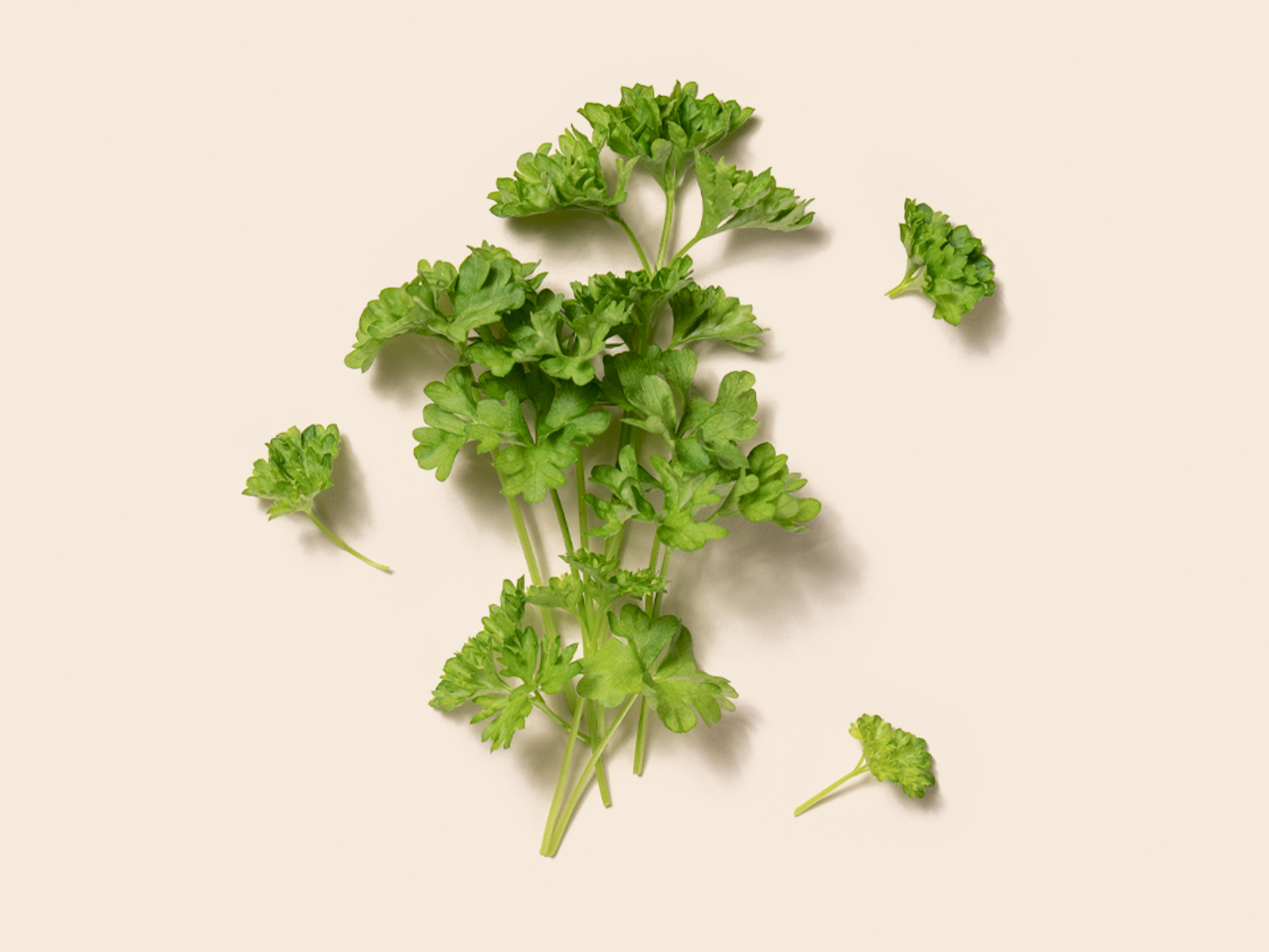 Parsley