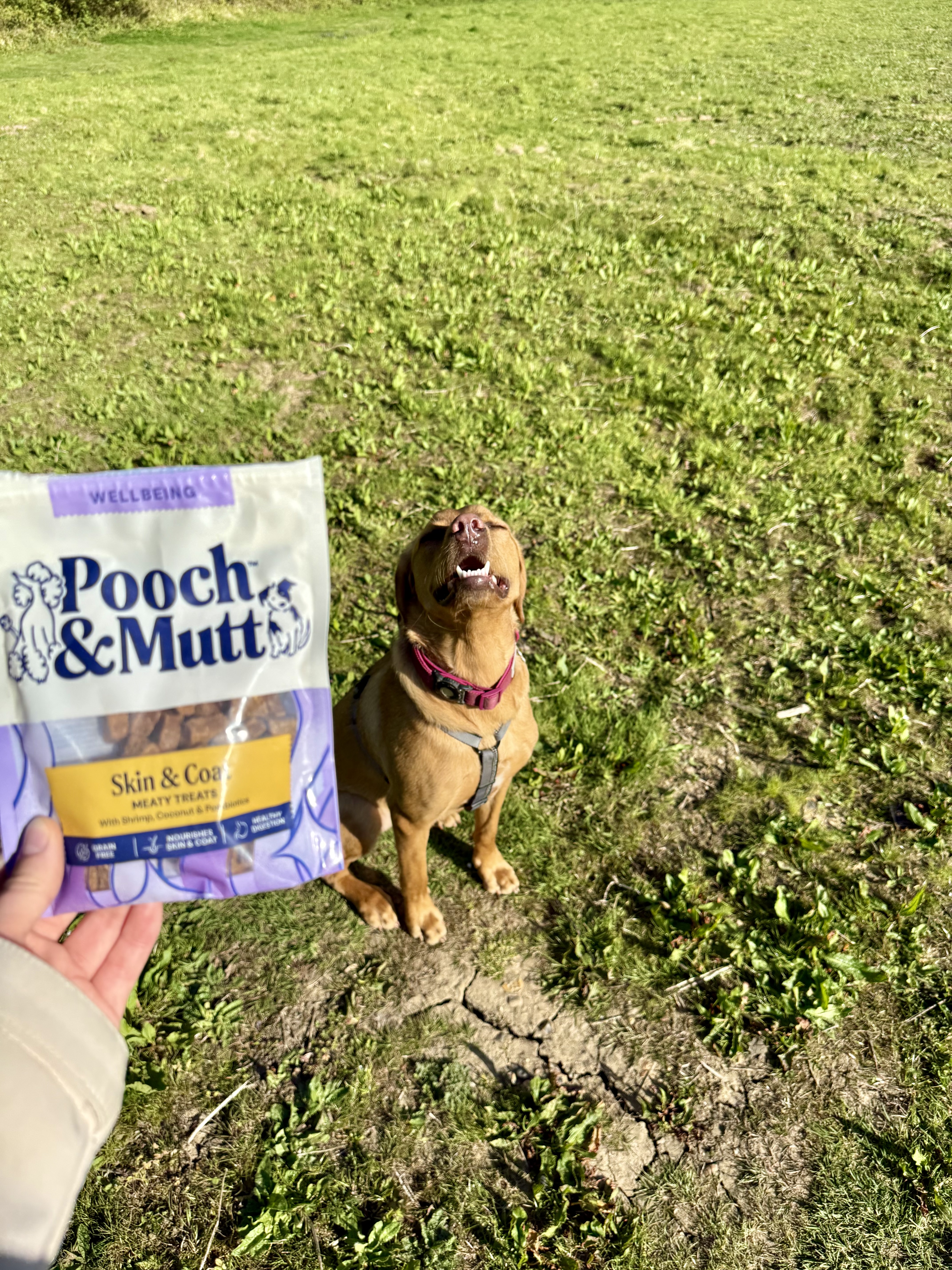 IMG 4693 - Nala Booth