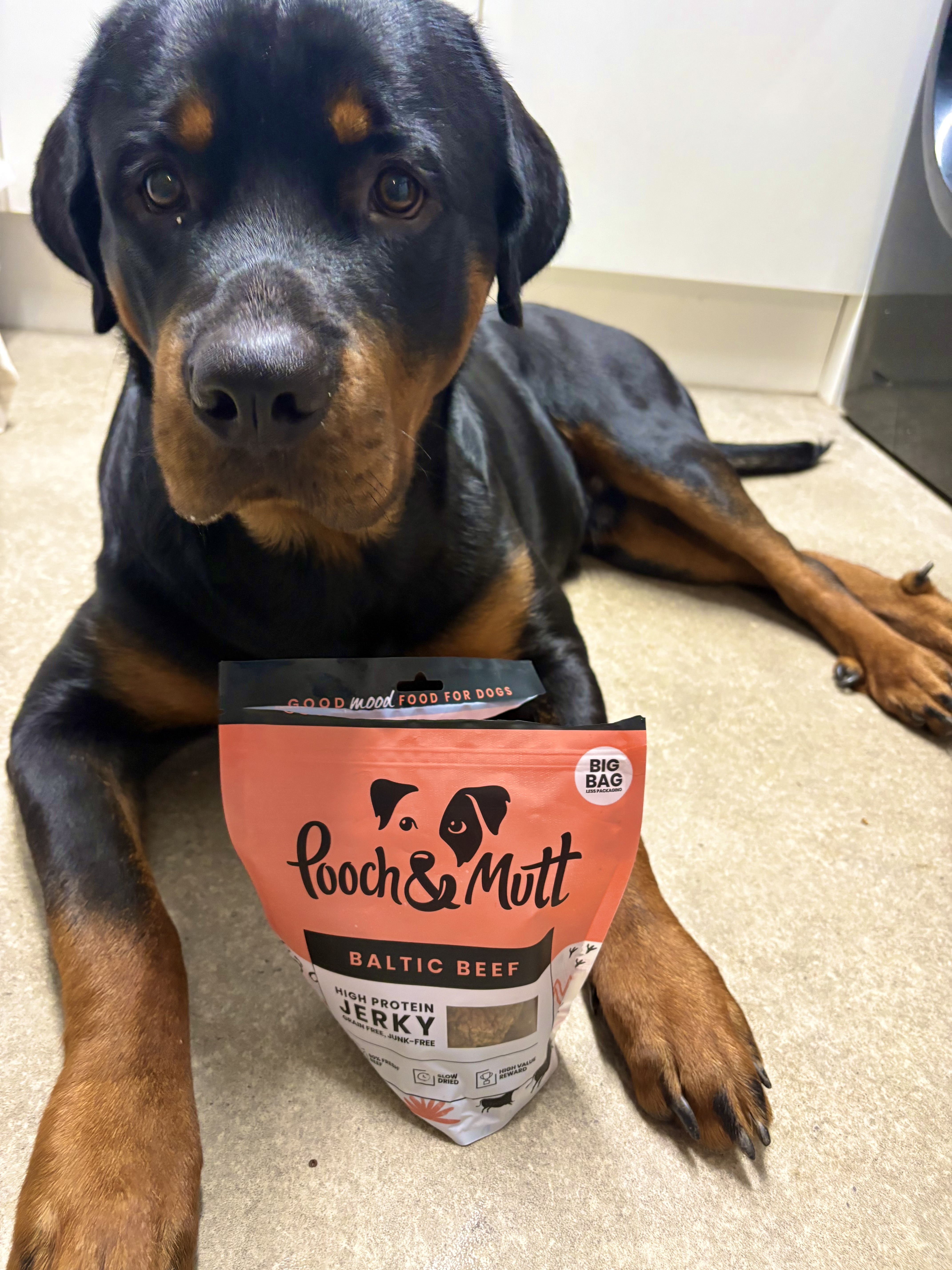 IMG 3825 - Jamieleigh Hobbs