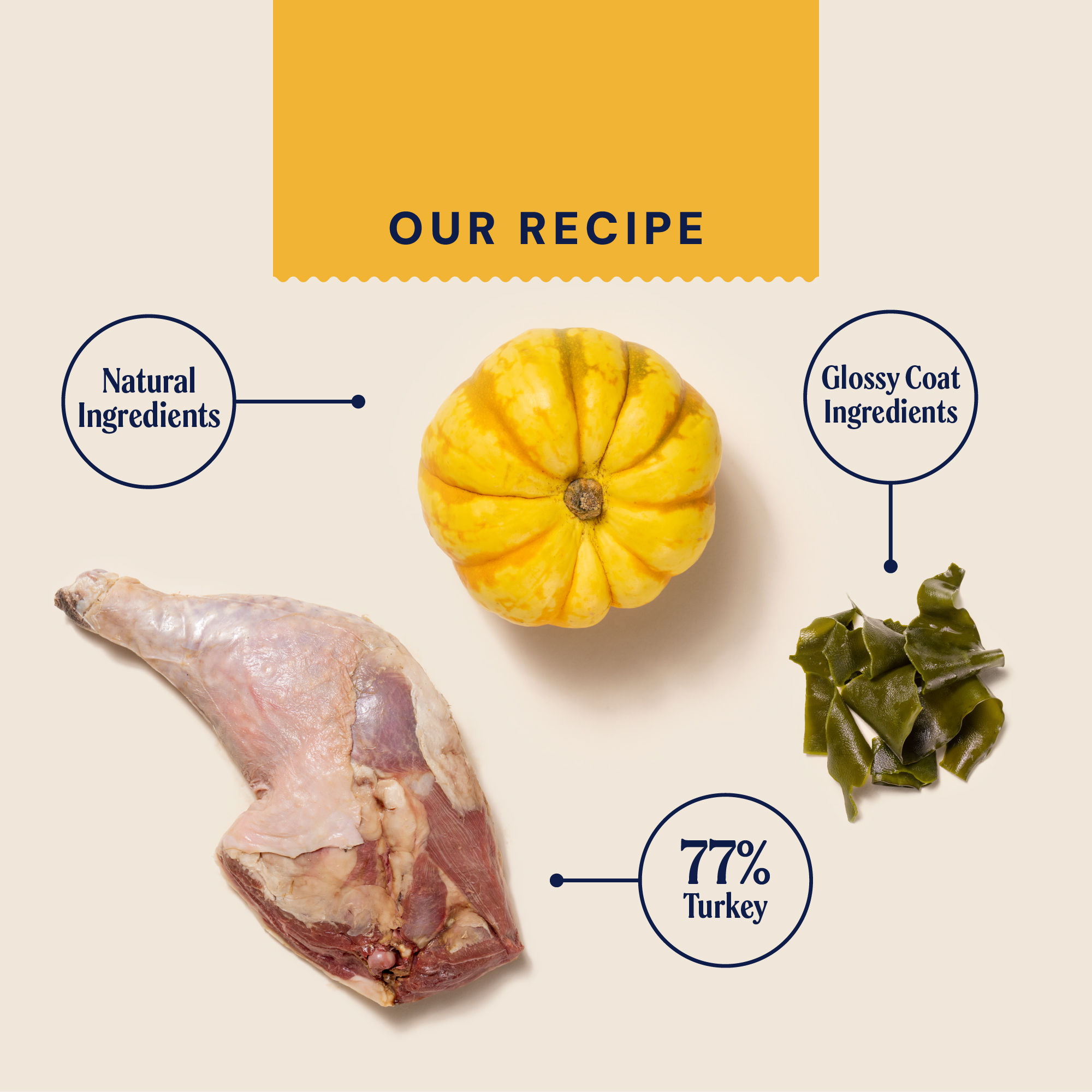 P&M INGREDIENT IMAGE SUPERFOODS ADULT (2)