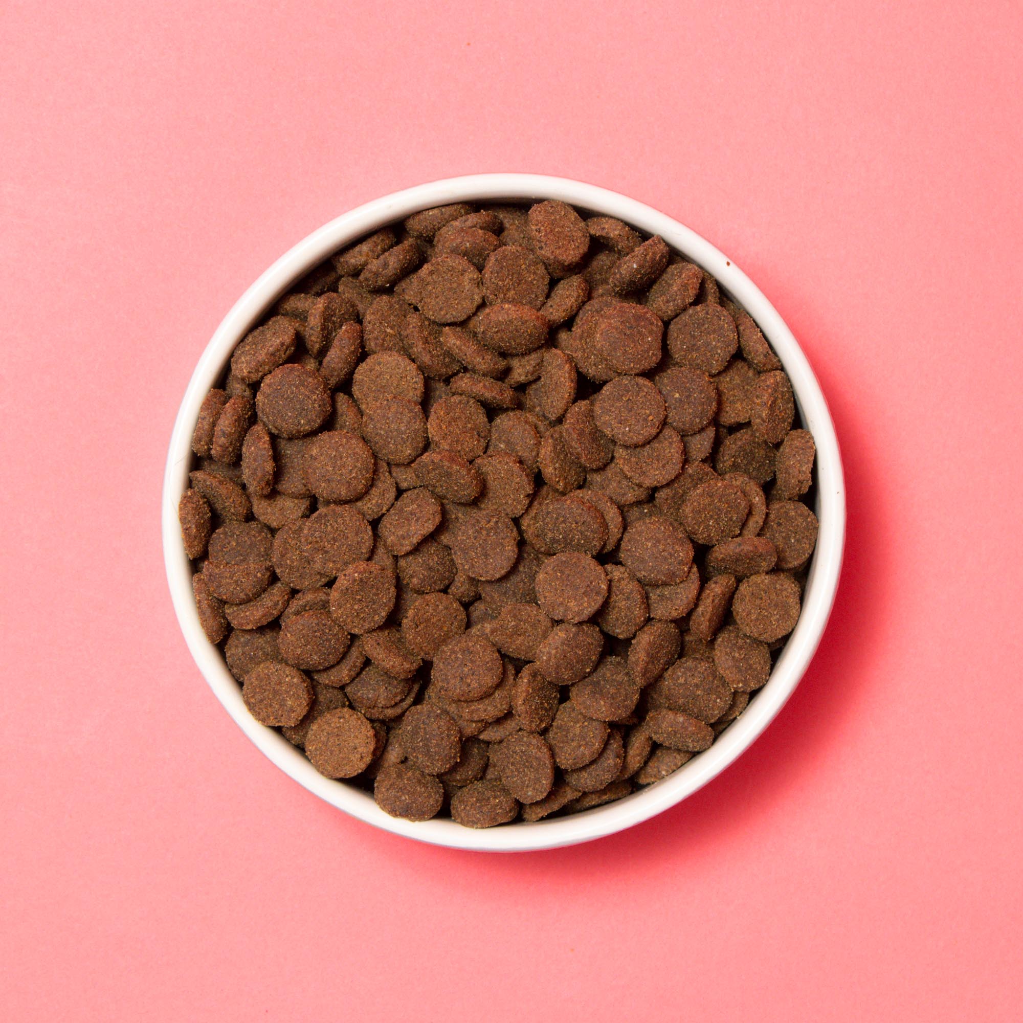 Primal Wild Boar High Meat Dry Food Clearance