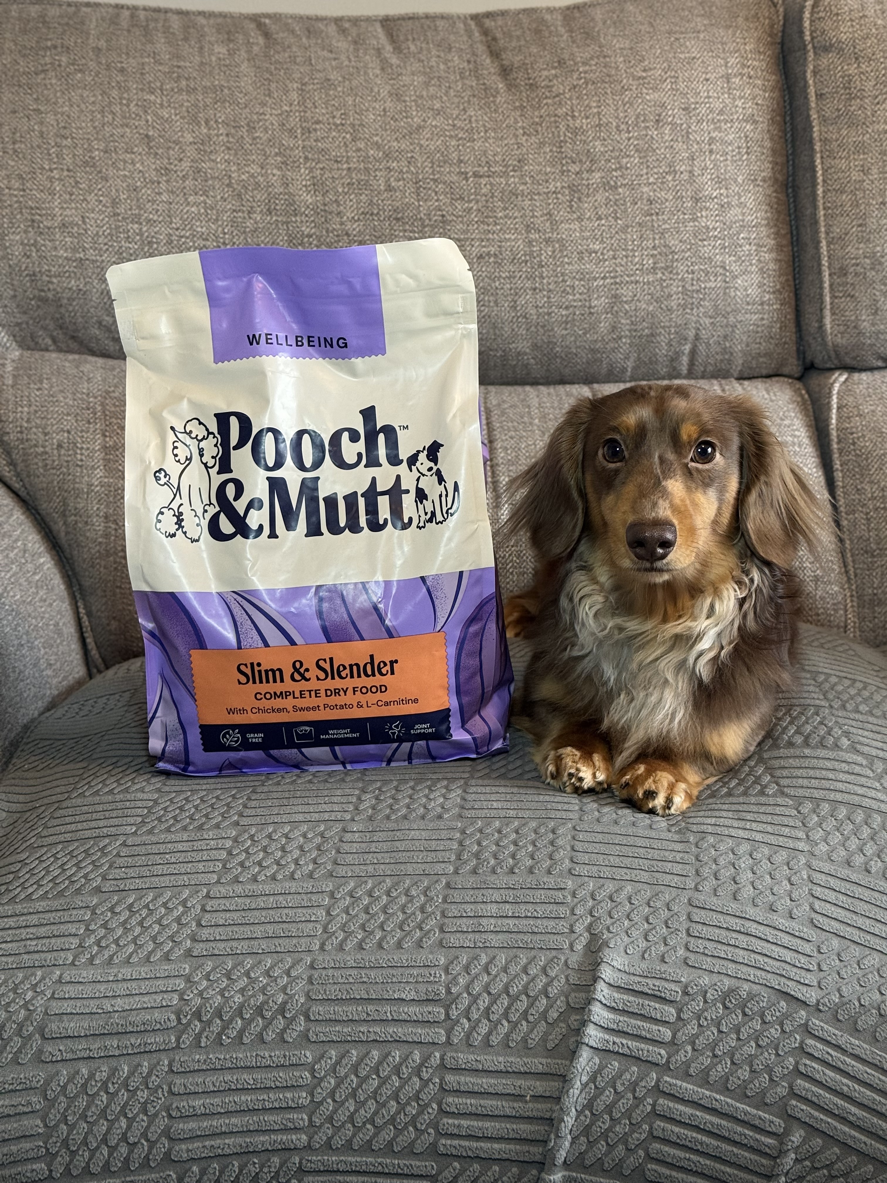 IMG 2773 - Sophie Holland