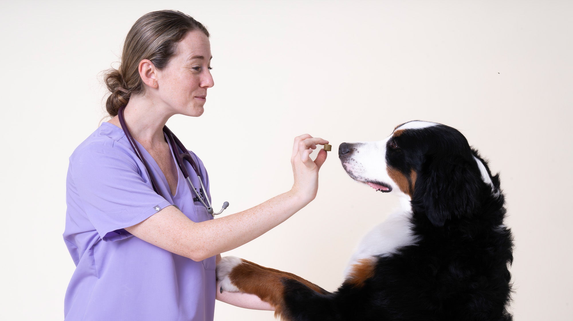 Your Pooch & Mutt Gut Health Supplement Feeding Guide-Image 4